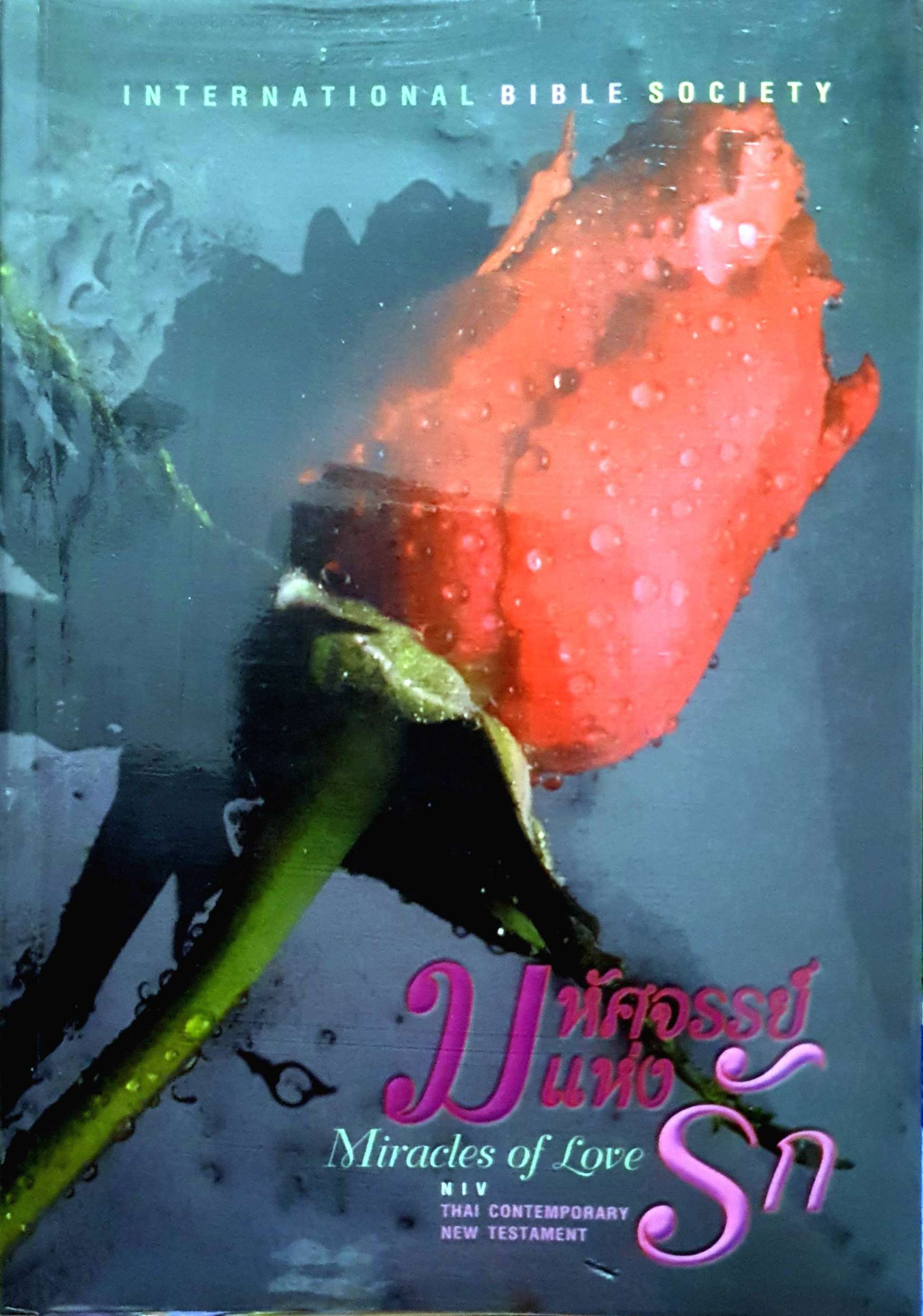 มหัศจรรย์แห่งรัก (Miracle of Love) International Bible Society