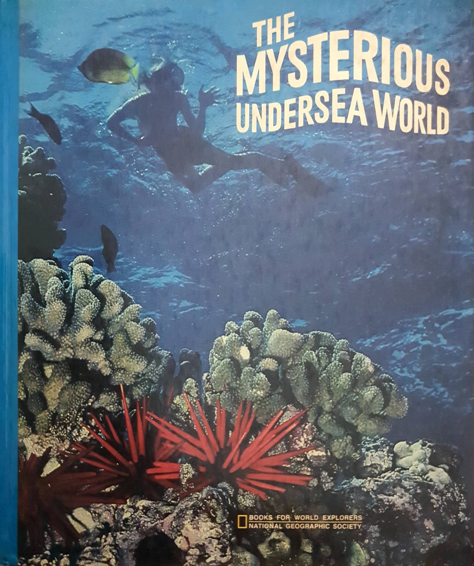 The Mysterious Undersea World : Jan Leslie Cook