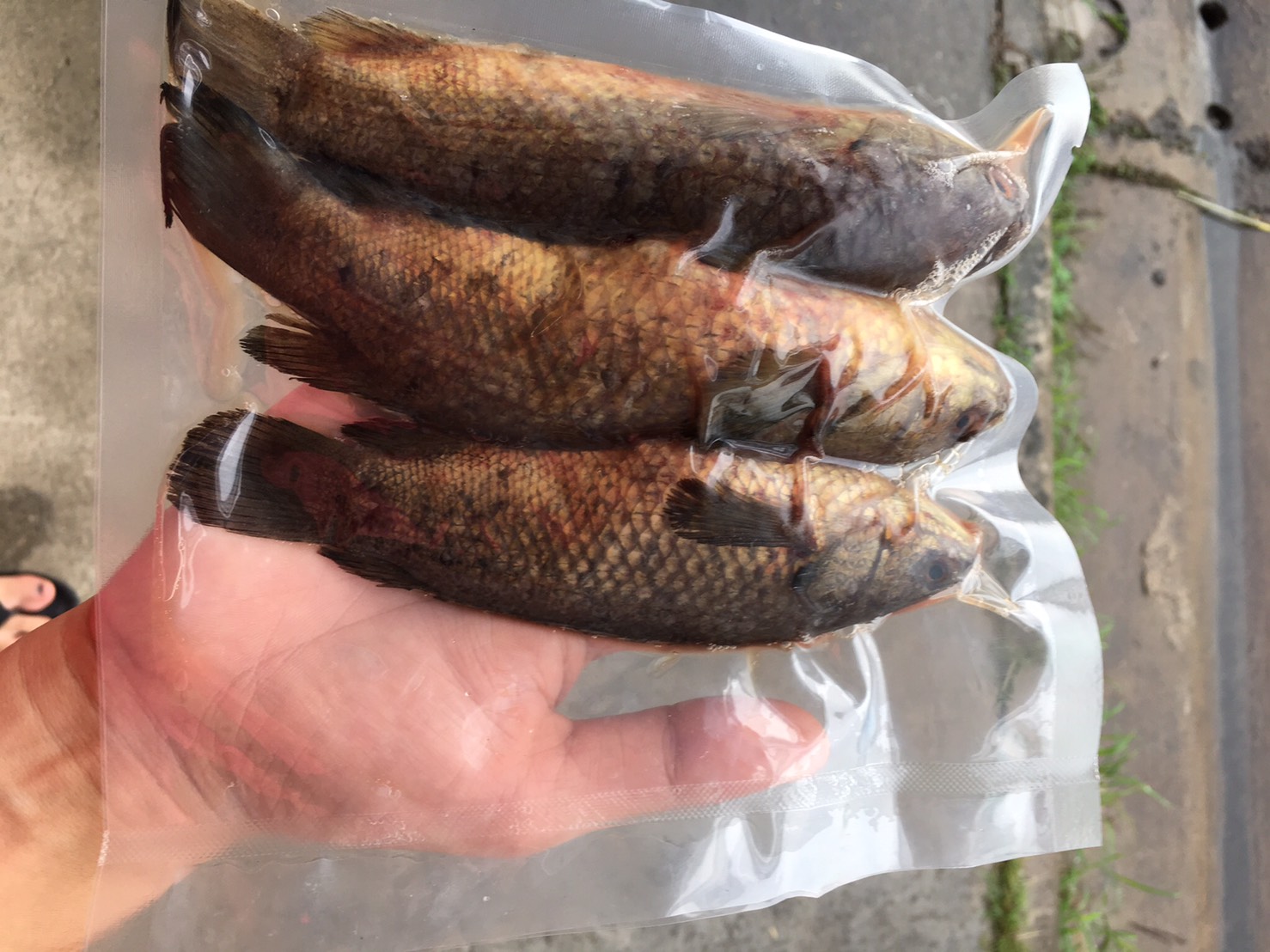 ถุงซีลสูญญากาศ แบบเรียบ ซีลสามด้าน