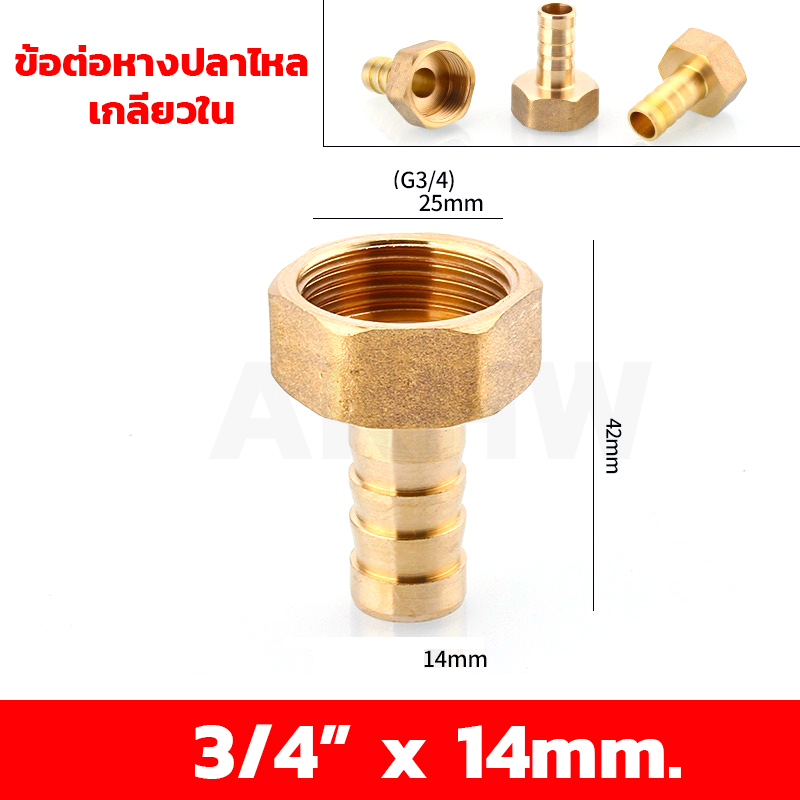 ข้อต่อหางปลาไหลเกลียวใน/เกลียวนอก ทองเหลือง KingsMan ขนาด 1/2นิ้ว 3/4นิ้ว [ขายปลีก/ส่ง]
