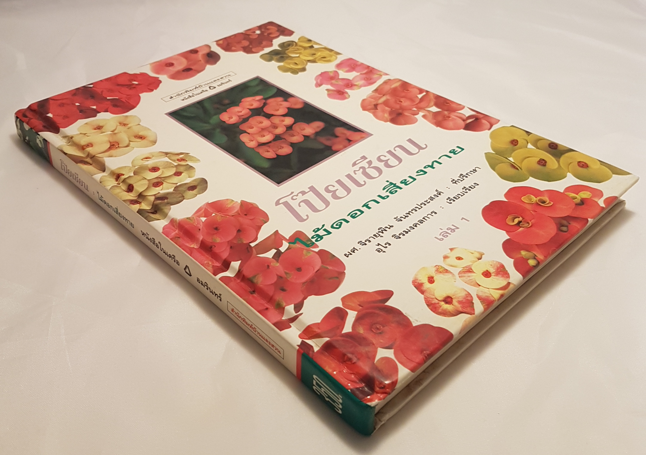 โป๊ยเซียน ไม้ดอกเสี่ยงทาย