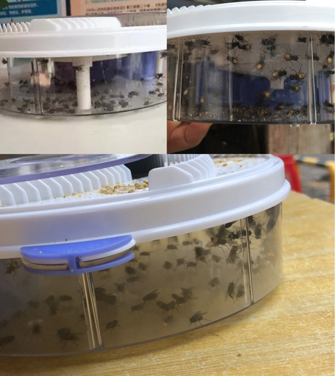 เครื่องดักจับแมลงวันไฟฟ้า Automatic Flytrap ขายปลีกส่ง ราคาถูก