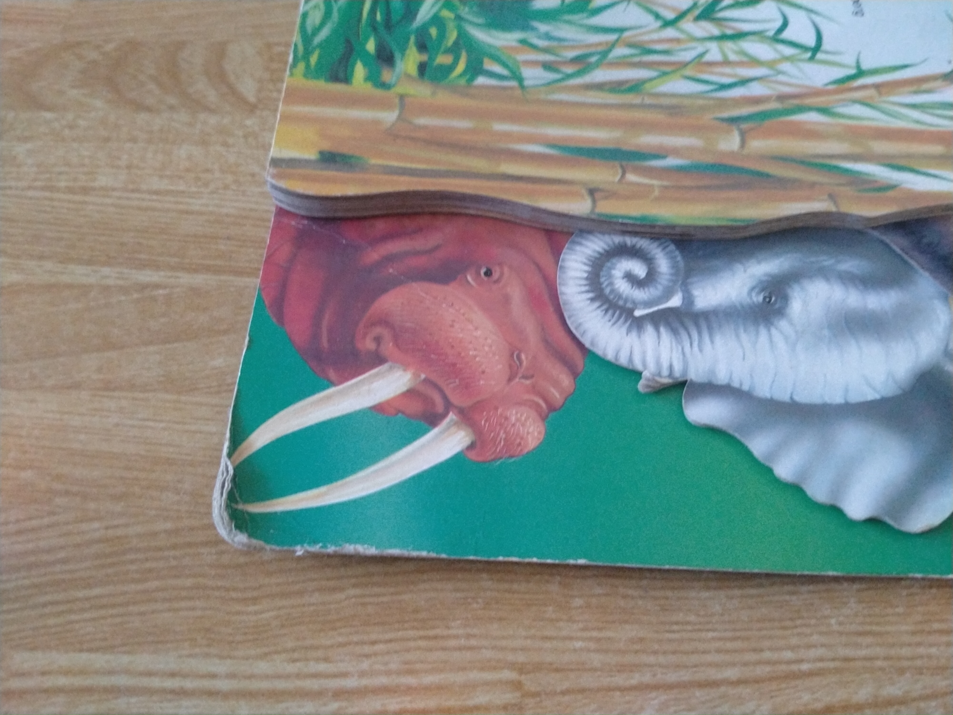 สัตว์เลี้ยงลูกด้วยนม อยู่ที่ปลายนิ้วของท่าน