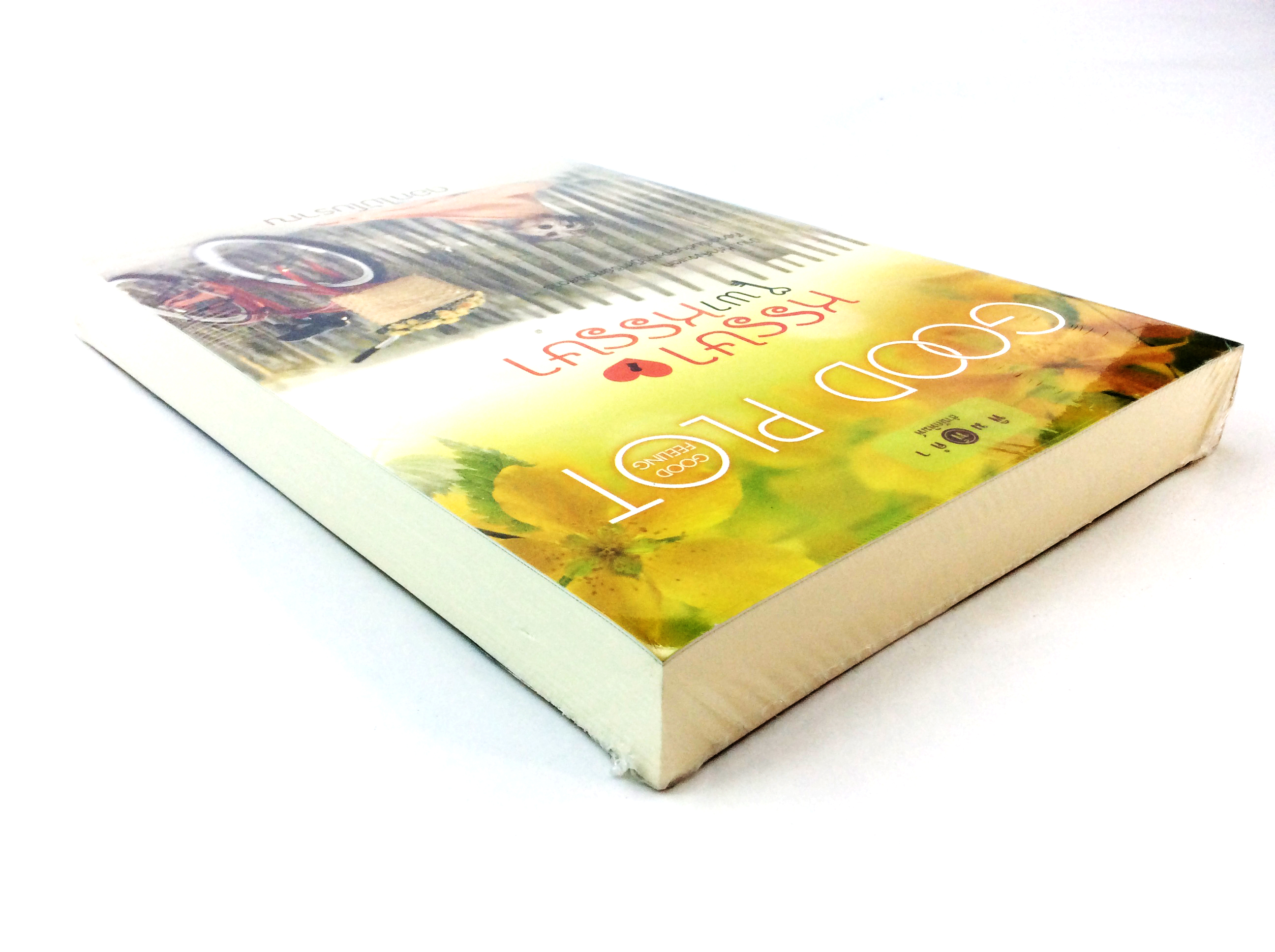 หนังสือนิยาย หรรษาพาหรรษา นิยาย นิยายลดราคา หนังสือ นิยาย