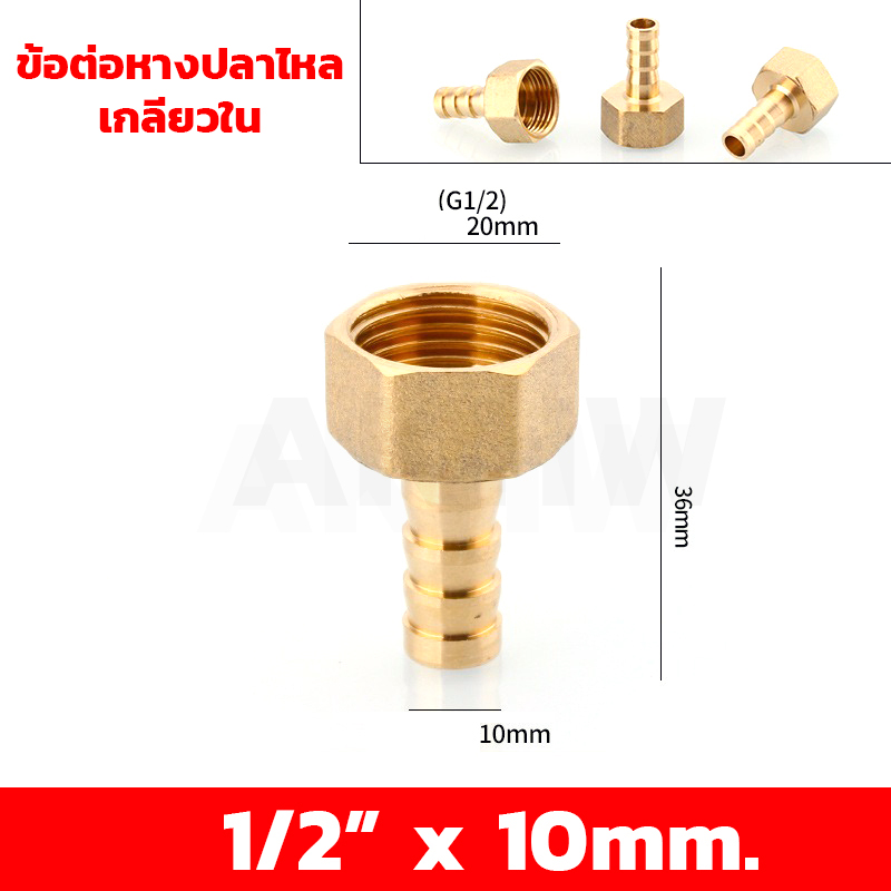 ข้อต่อหางปลาไหลเกลียวใน/เกลียวนอก ทองเหลือง KingsMan ขนาด 1/2นิ้ว 3/4นิ้ว [ขายปลีก/ส่ง]