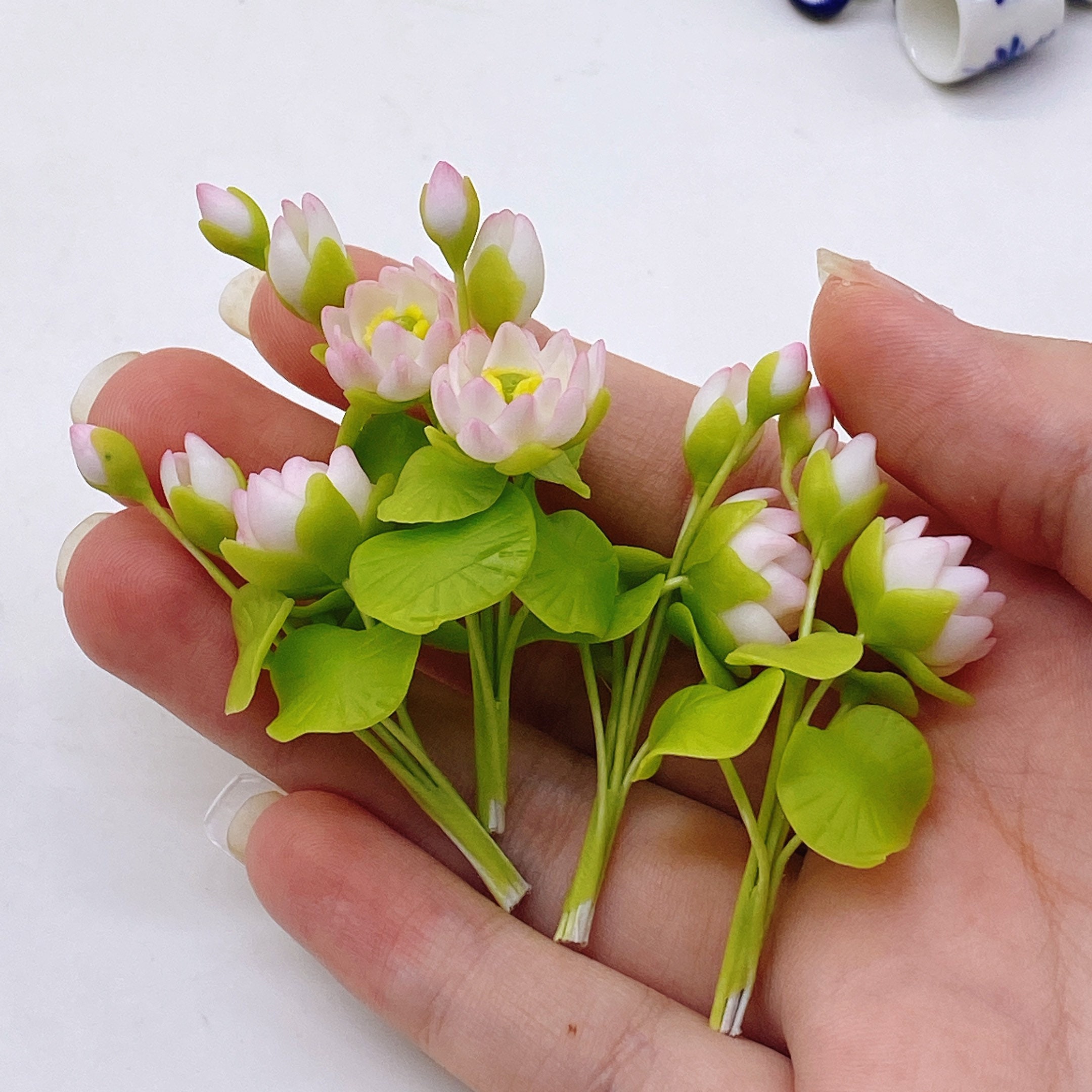 5 pieces Miniature Lotus