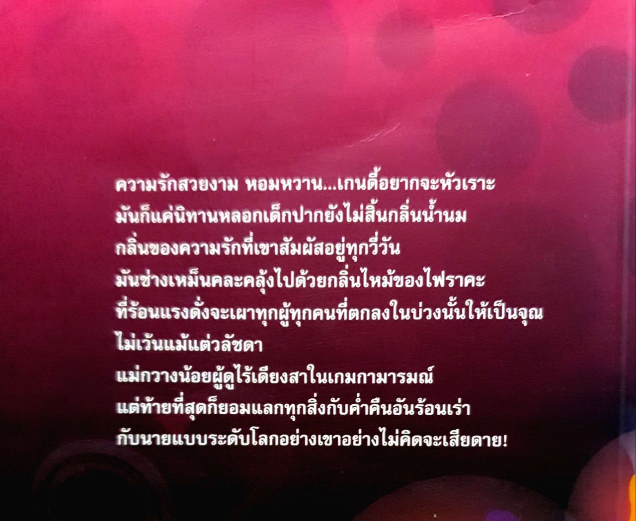 ผู้ชายหัวใจติดบาป : จอมจันทร์