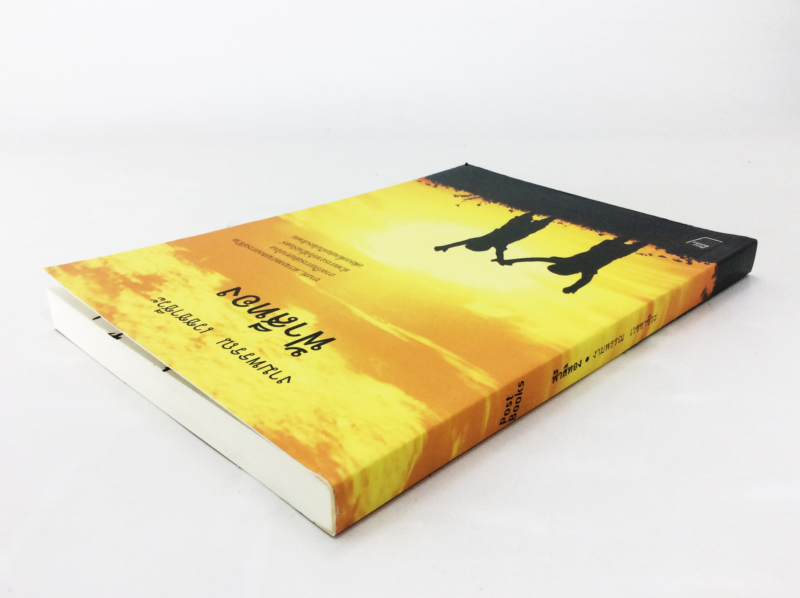 ฟ้าสีทอง ความงดงามของชีวิต อาจเป็นการเดินทางไกล หนังสือนิยาย วรรณกรรม