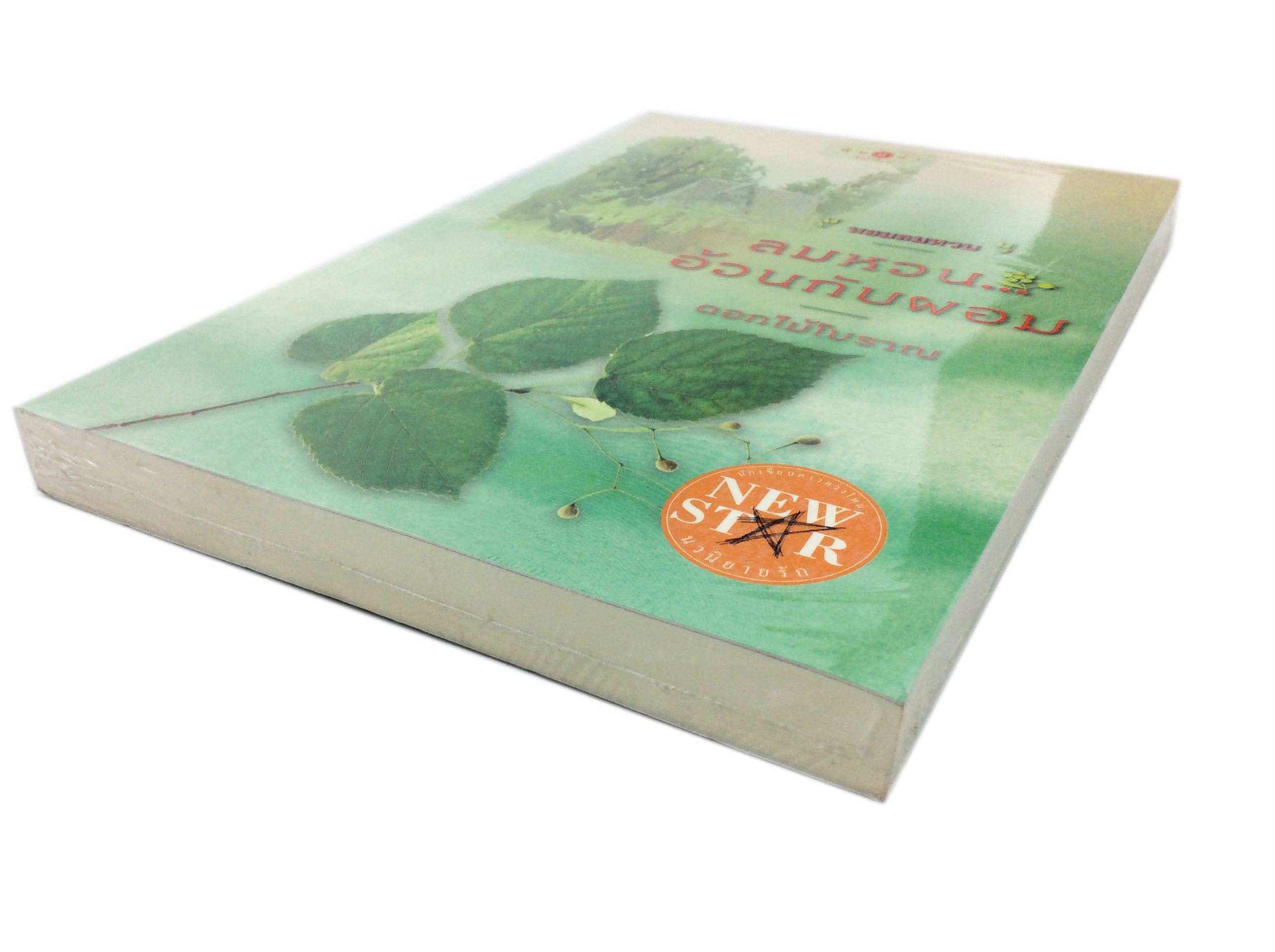 ลมหวนอ้วนกับผอม นิยาย นิยายลดราคา หนังสือนิยาย
