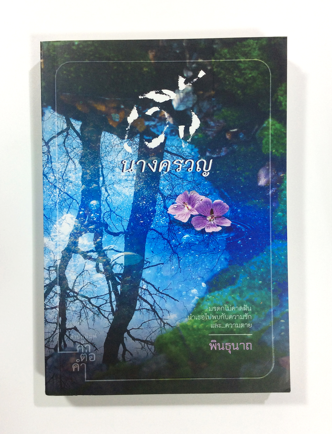 นางครวญ นิยาย นิยายโรแมนติก หนังสือ