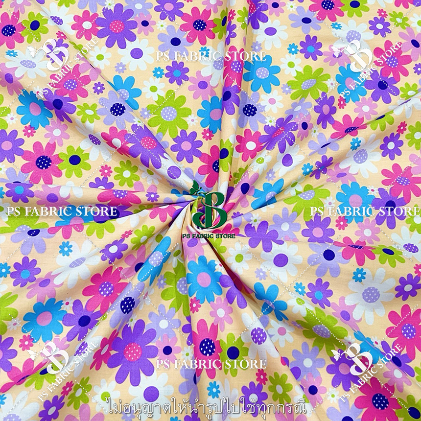 ลายเดซี่ DAISY