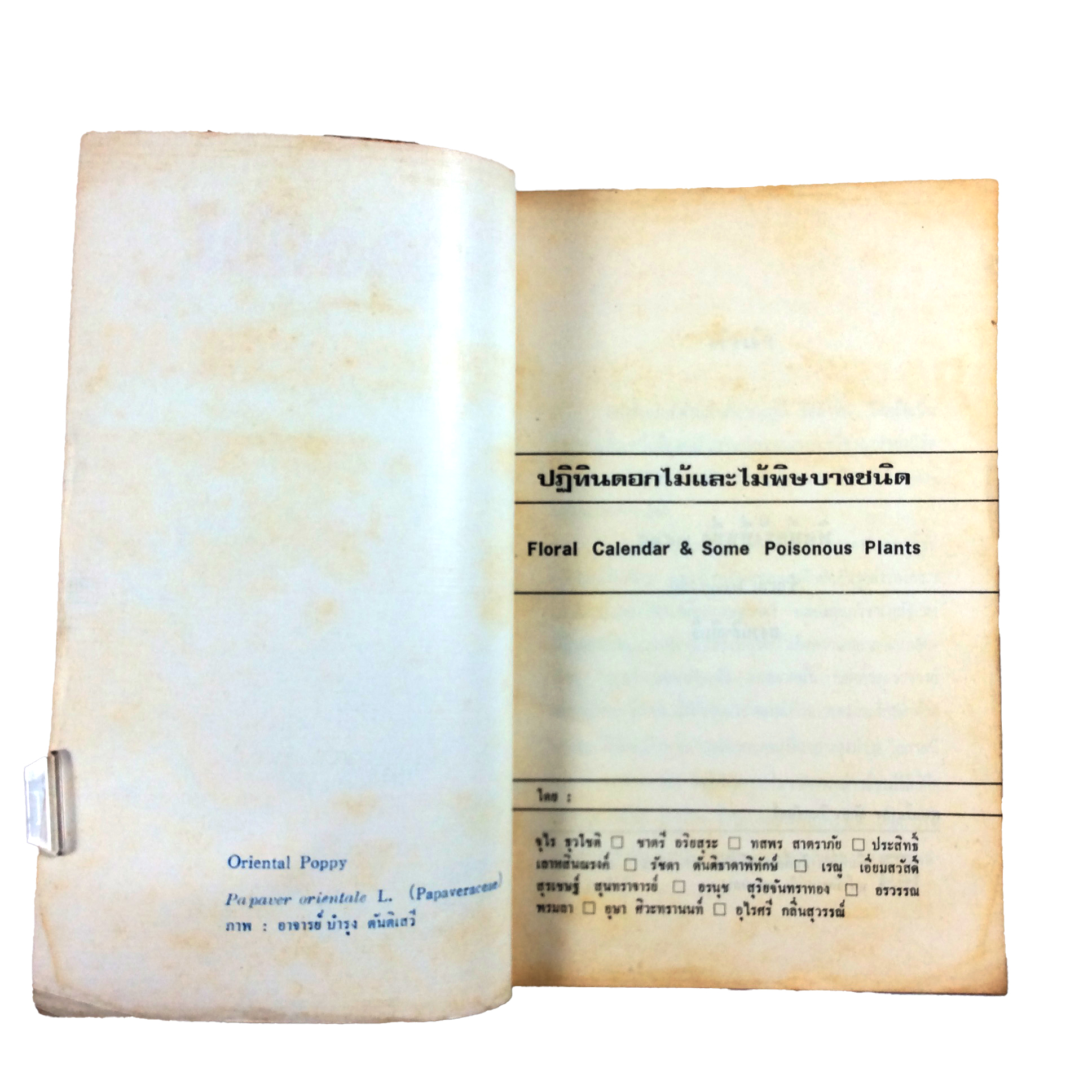 ปฏิทินดอกไม้และไม้พิษบางชนิด หนังสือแยกการบานของดอกไม้ตามเดือน หนังสือ ดอกไม้ ต้นไม้ ไม้พิษ พฤกษศาสตร์