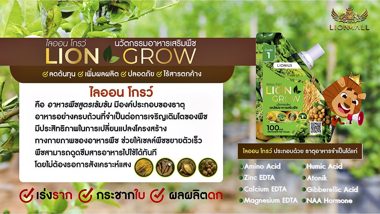 Lion Green + Lion Grow นวัตกรรมอาหารเสริม บำรุงพืชจากธรรมชาติ ช่วยลดต้นทุน เพิ่มผลผลิต และปลอดภัยต่อสิ่งแวดล้อม