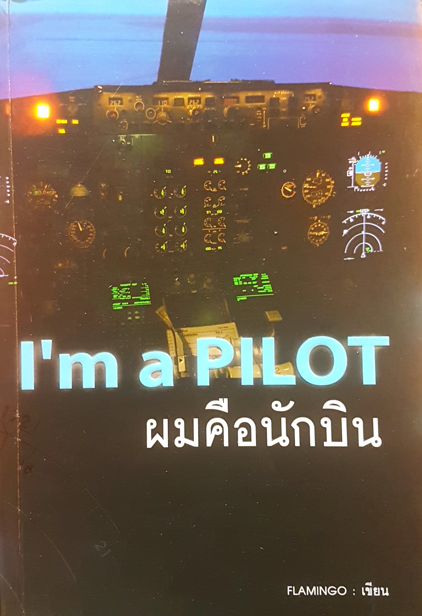 I'M A PILOT : ผมคือนักบิน