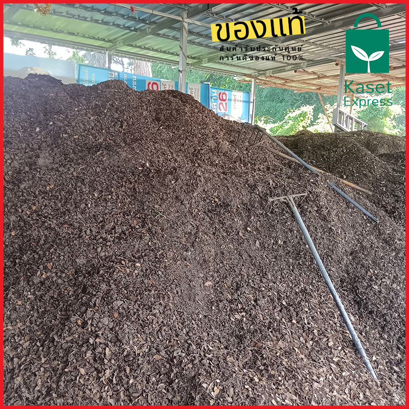 จำหน่ายใบก้ามปูราคาส่ง ใบก้ามปูราคาโรงงาน จัดส่งทั่วประเทศ พร้อมรถขนส่งครบทุกประเภท