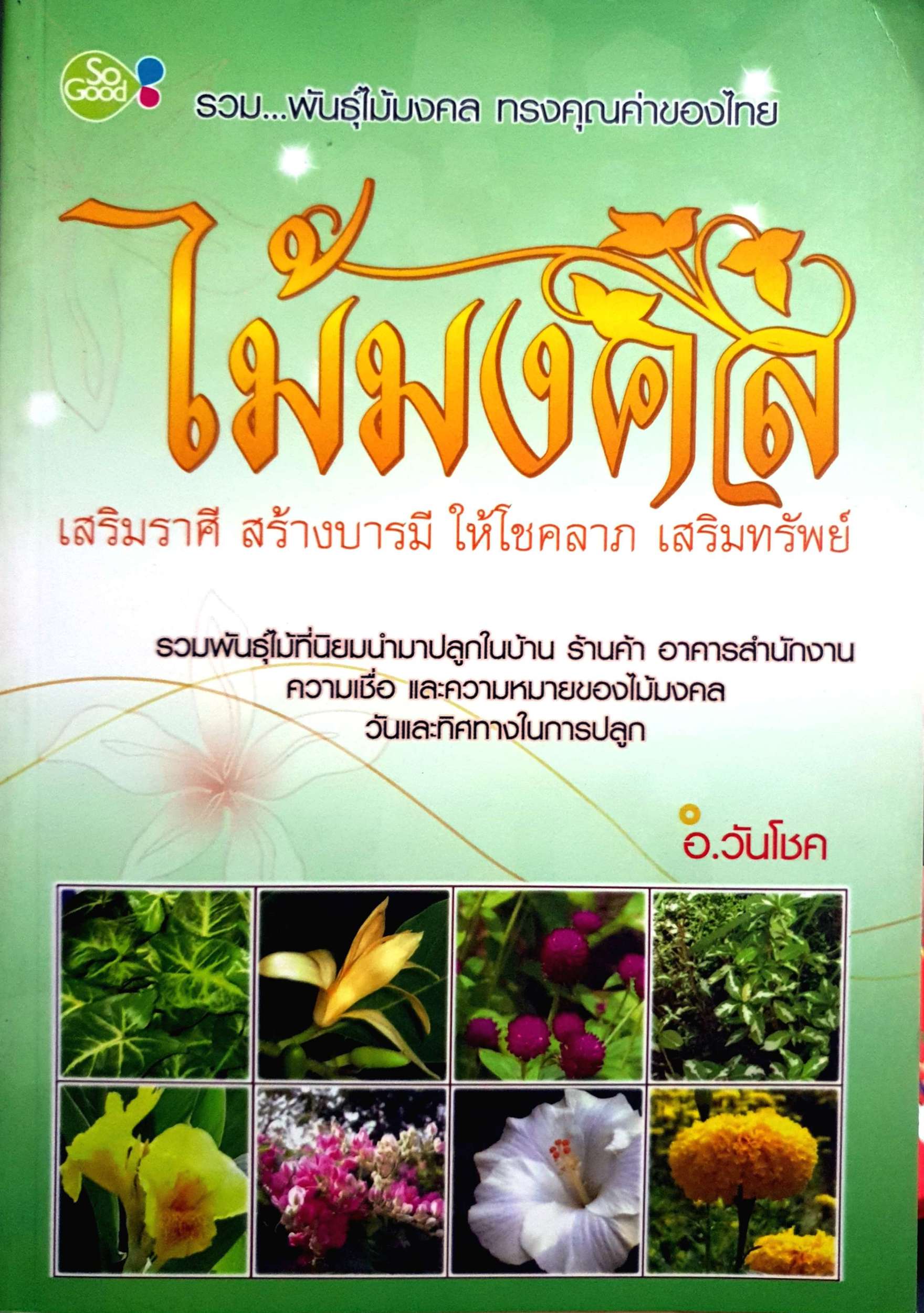 ไม้มงคล เสริมราศี สร้างบารมี ให้โชคลาภ เสริมทรัพย์ อ.วันโชค