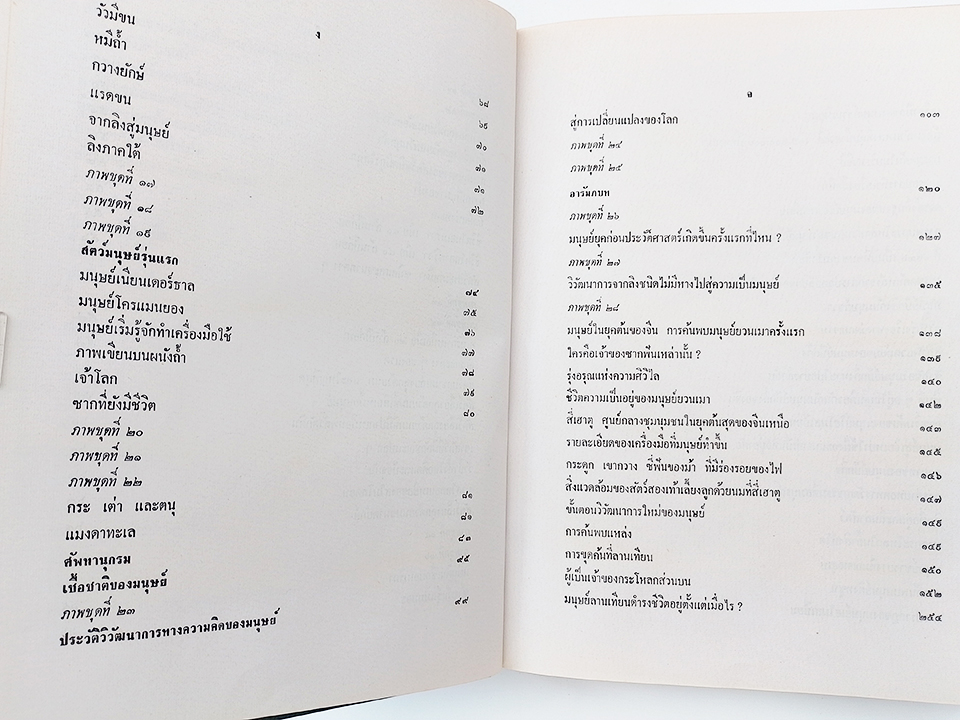 มนุษย์และสัตว์โลกก่อนประวัติศาสตร์ หนังสือ ประวัติศาสตร์ โบราณคดี