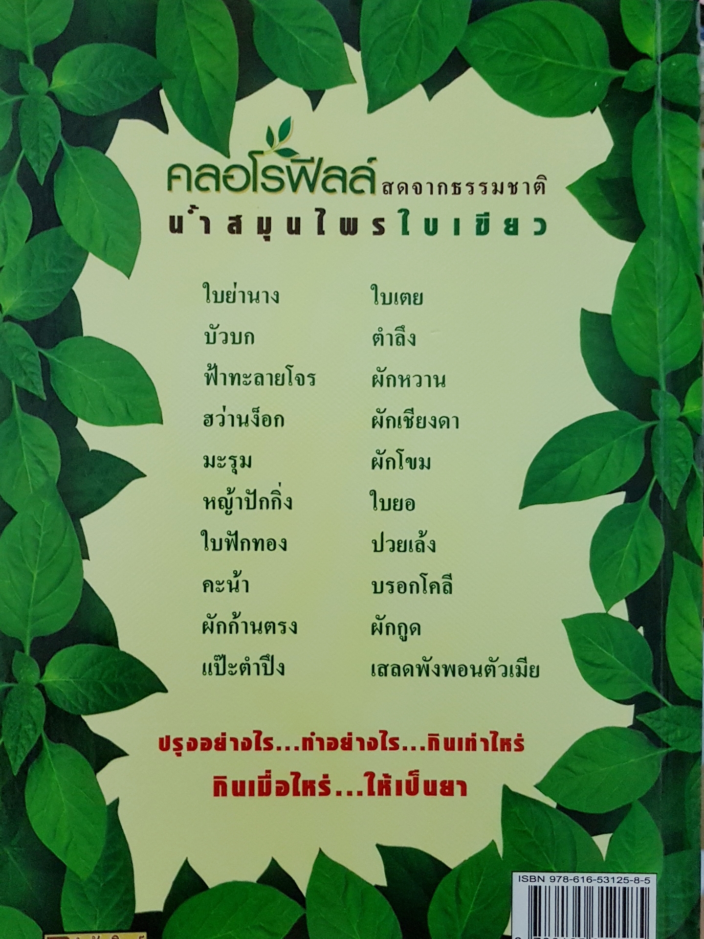 คลอโรฟิลล์ พืชใบเขียว มหัศจรรย์ยา กำจัดมะเร็ง