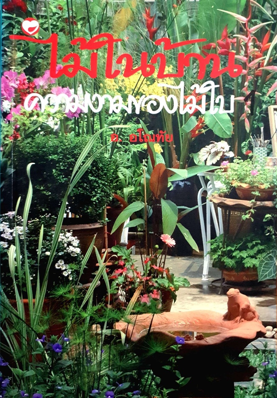 ไม้ในบ้าน ความงามของใบไม้ : อ.อโณทัย