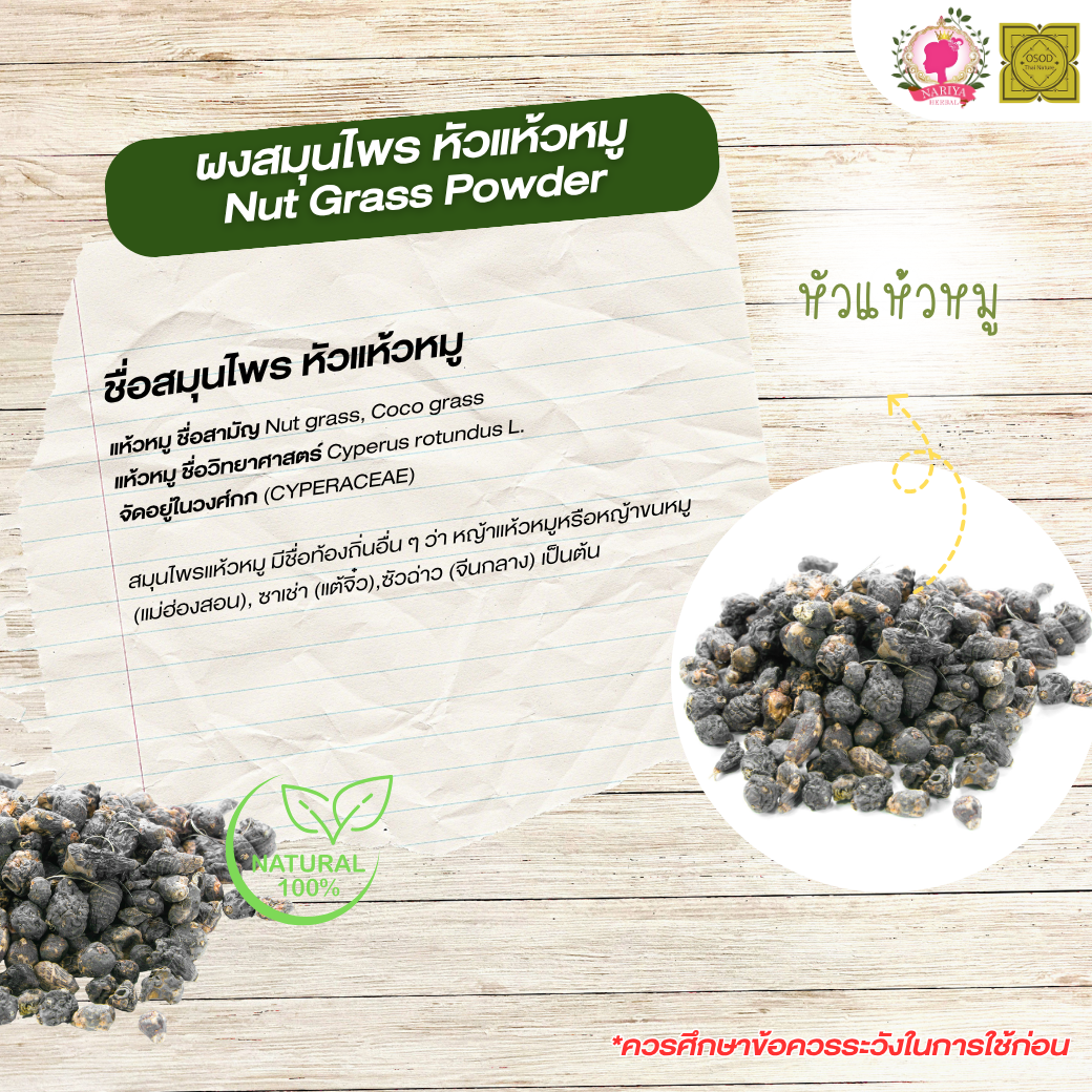 ผงแห้วหมู (Nut Grass Powder) ขนาด 500 1000 กรัม ผงหัวแห้วหมู บดละเอียด สมุนไพร แท้ 100 % FG-HBP-100