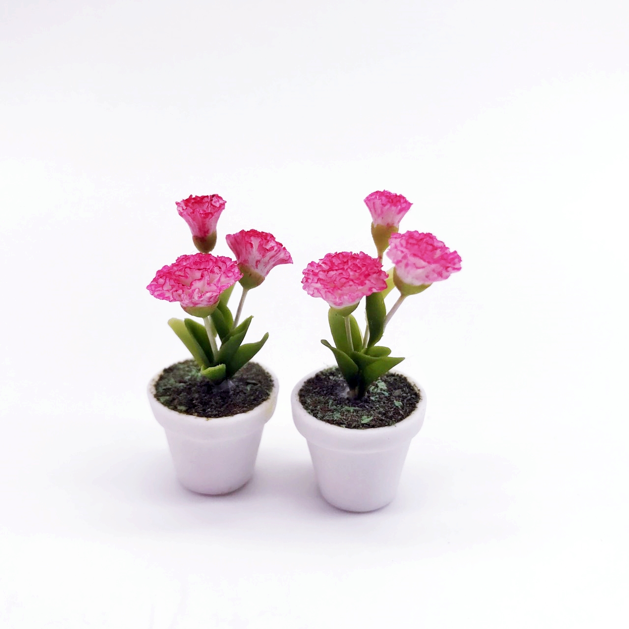 Miniature plant,flower in pot