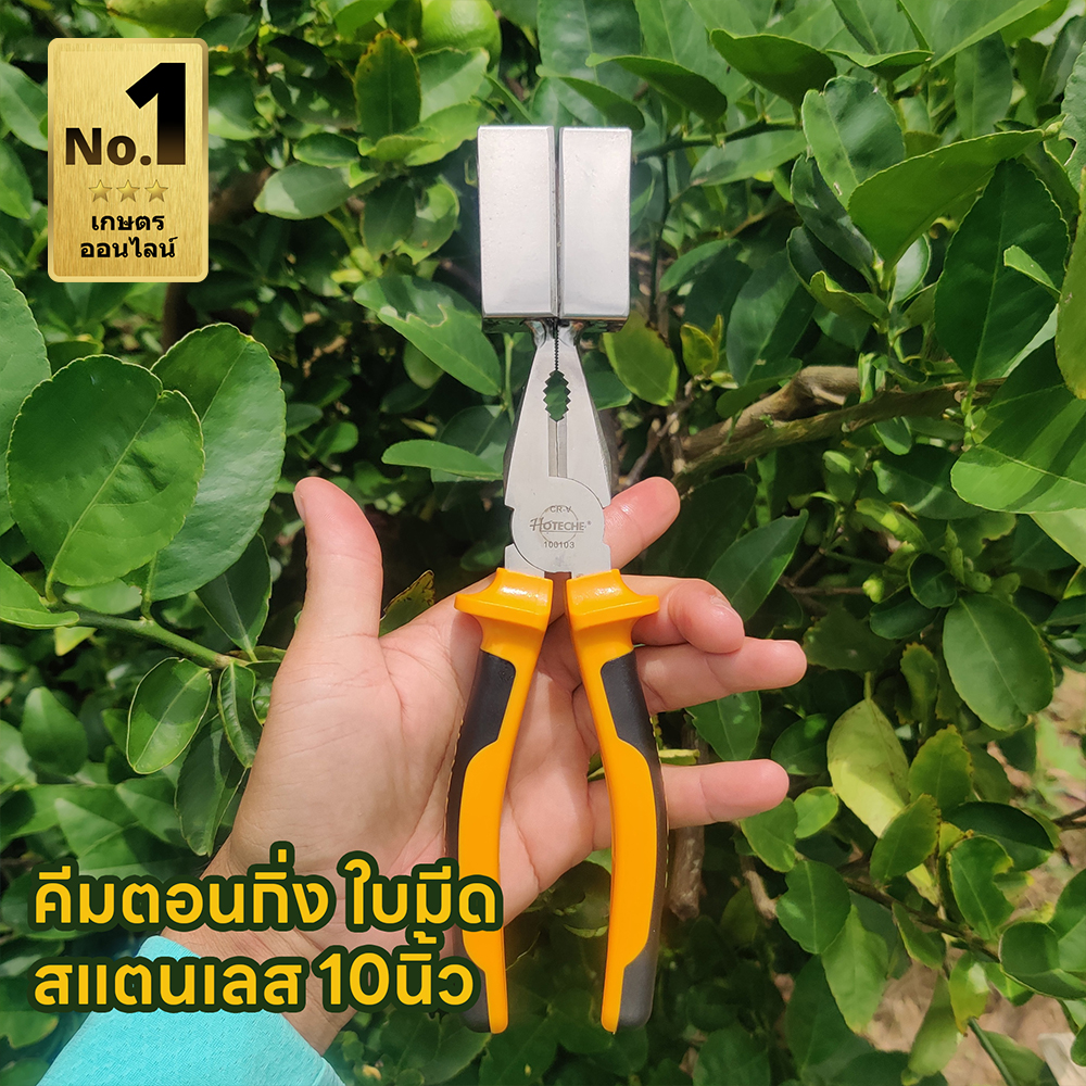 คีมตอนกิ่ง ใบมีดสแตนเลส ขนาด 10 นิ้ว