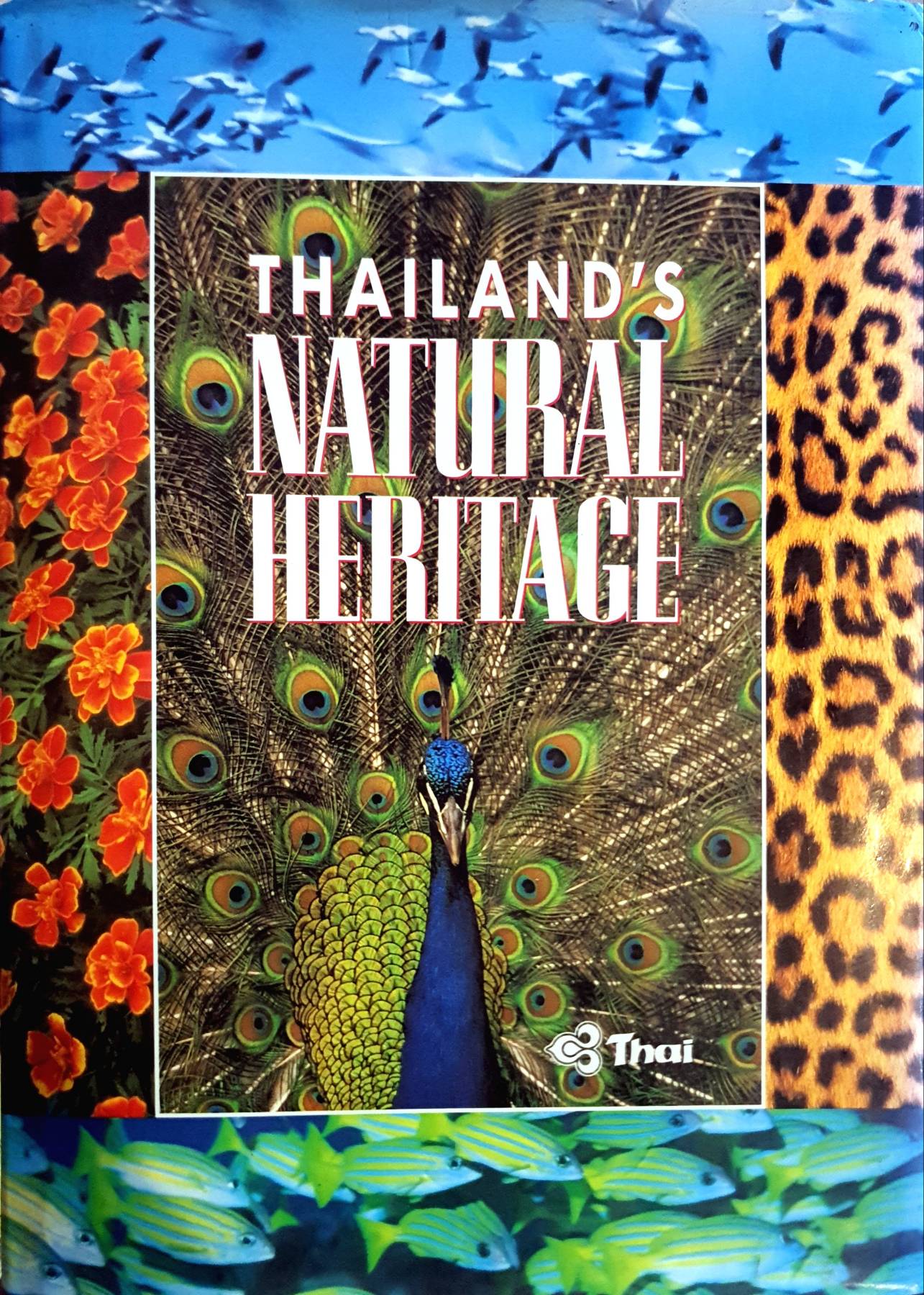 Thailand's Natural Heritage : Thai Airway (Hardcover)