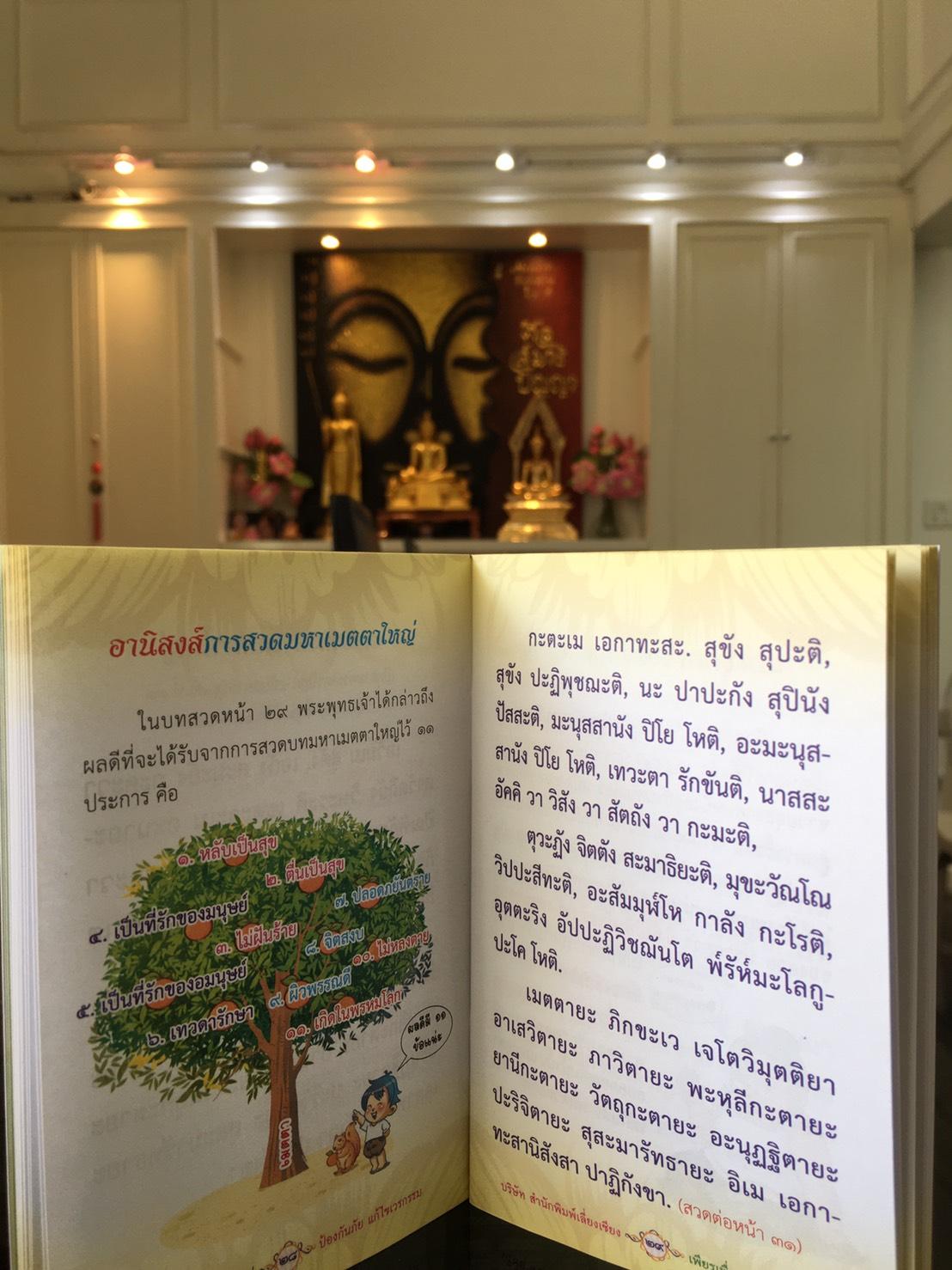 หนังสือสวดมนต์ มหาเมตตาใหญ่ ป้องกันภัย แก้ไขเวรกรรม ฉบับพกพา ( แพ็ค 10 เล่ม ) หนังสือธรรมะ บจ.สำนักพิมพ์เลี่ยงเชียง เพียรเพื่อพุทธศาสน์