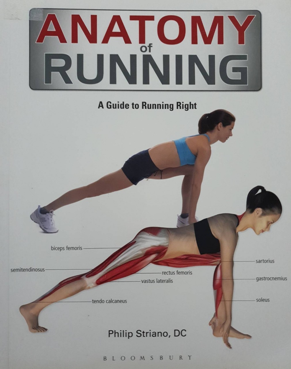 ANATOMY OF RUNNING; A Guide to Running Right : Phillip Striano,DC