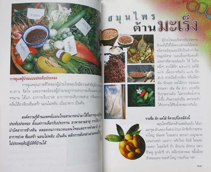 การแพทย์แผนไทย