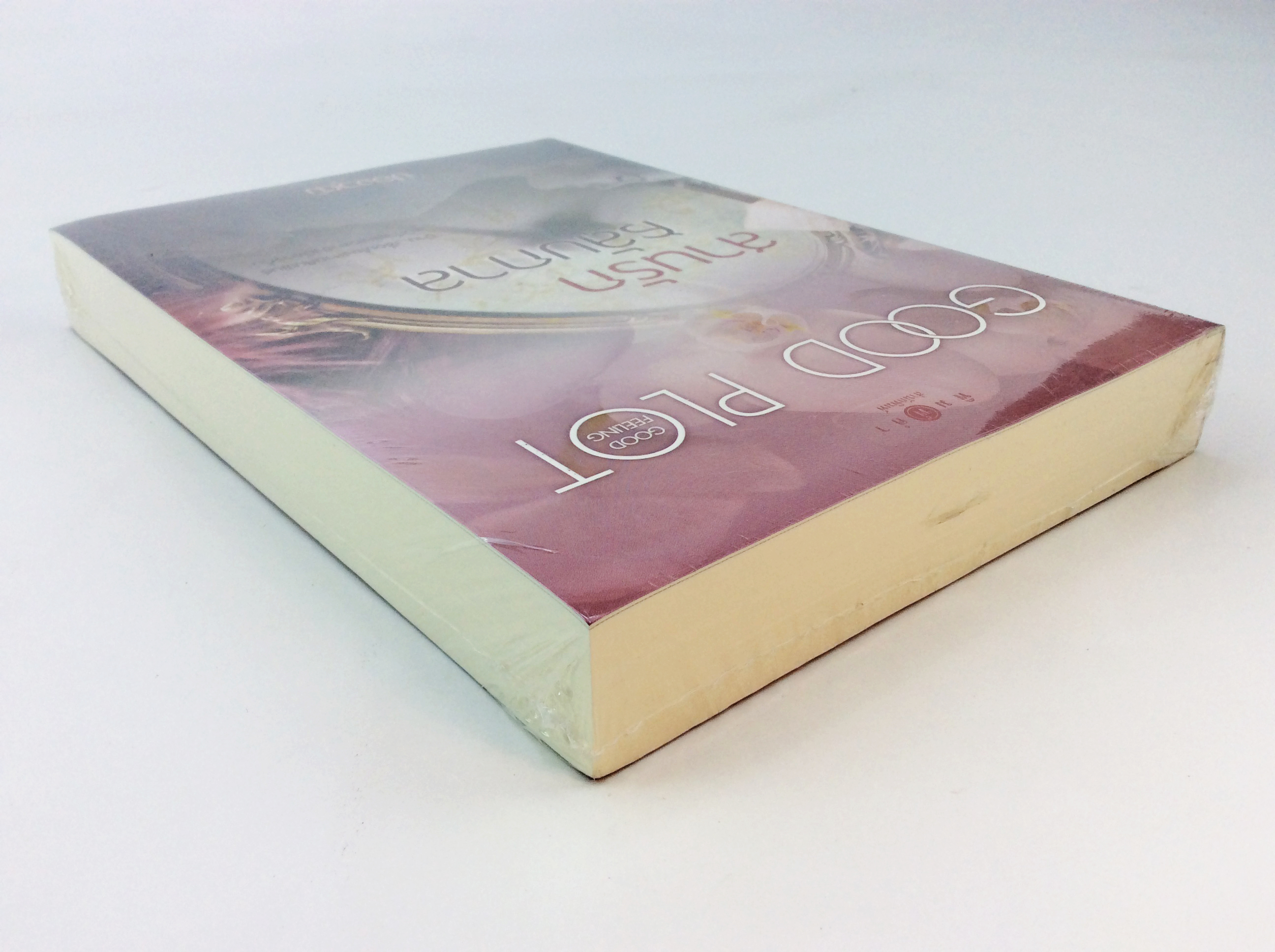 สานรักสลับกาล นิยาย นิยายลดราคา หนังสือนิยาย