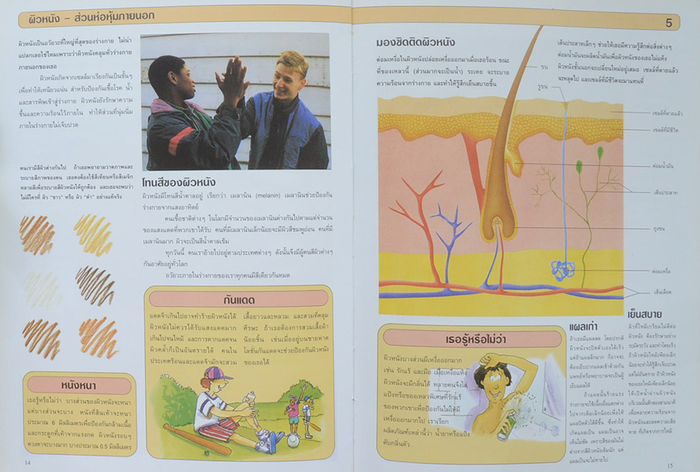 ร่างกายมหัศจรรย์ : โดย: ดร. แอนน์ ทาวน์เซนต์