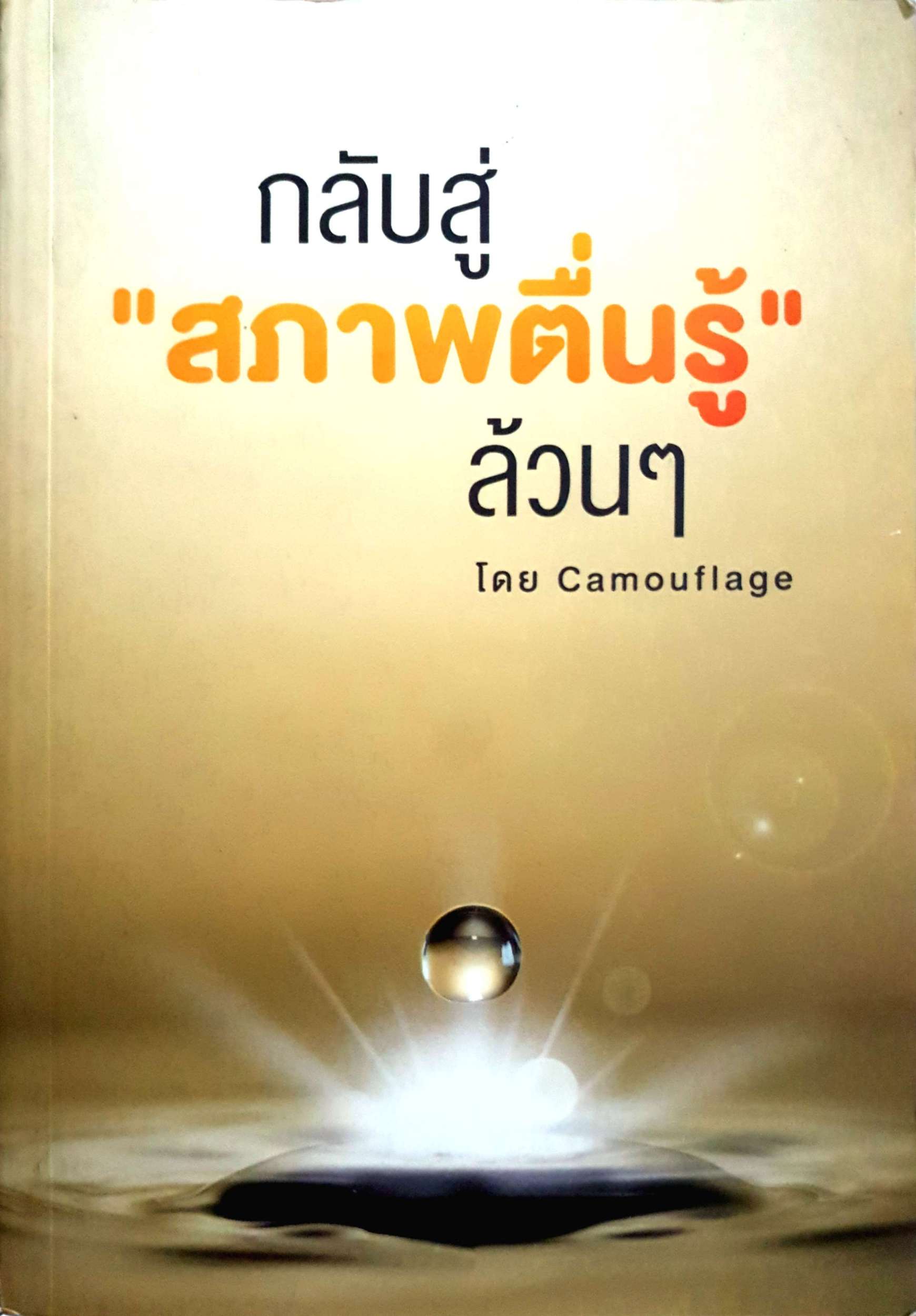 กลับสู่สภาพตื่นรู้ล้วนๆ โดย Camouflage