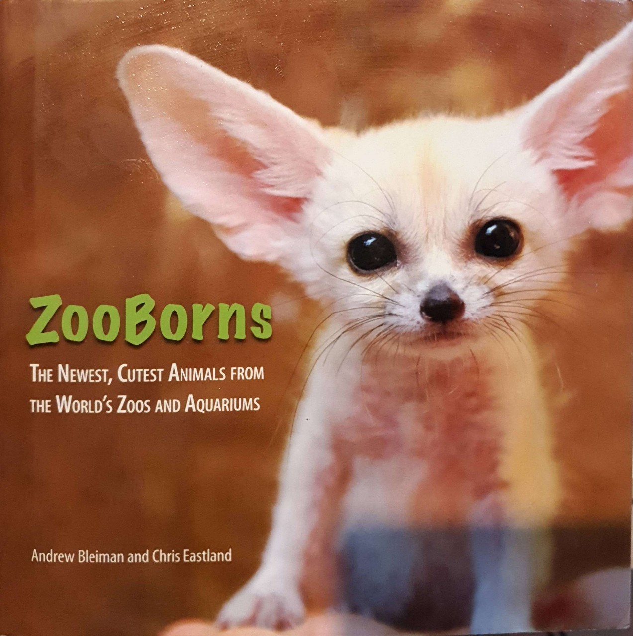 ZOOBORNS : Andrew Bleiman , Chris Eastland