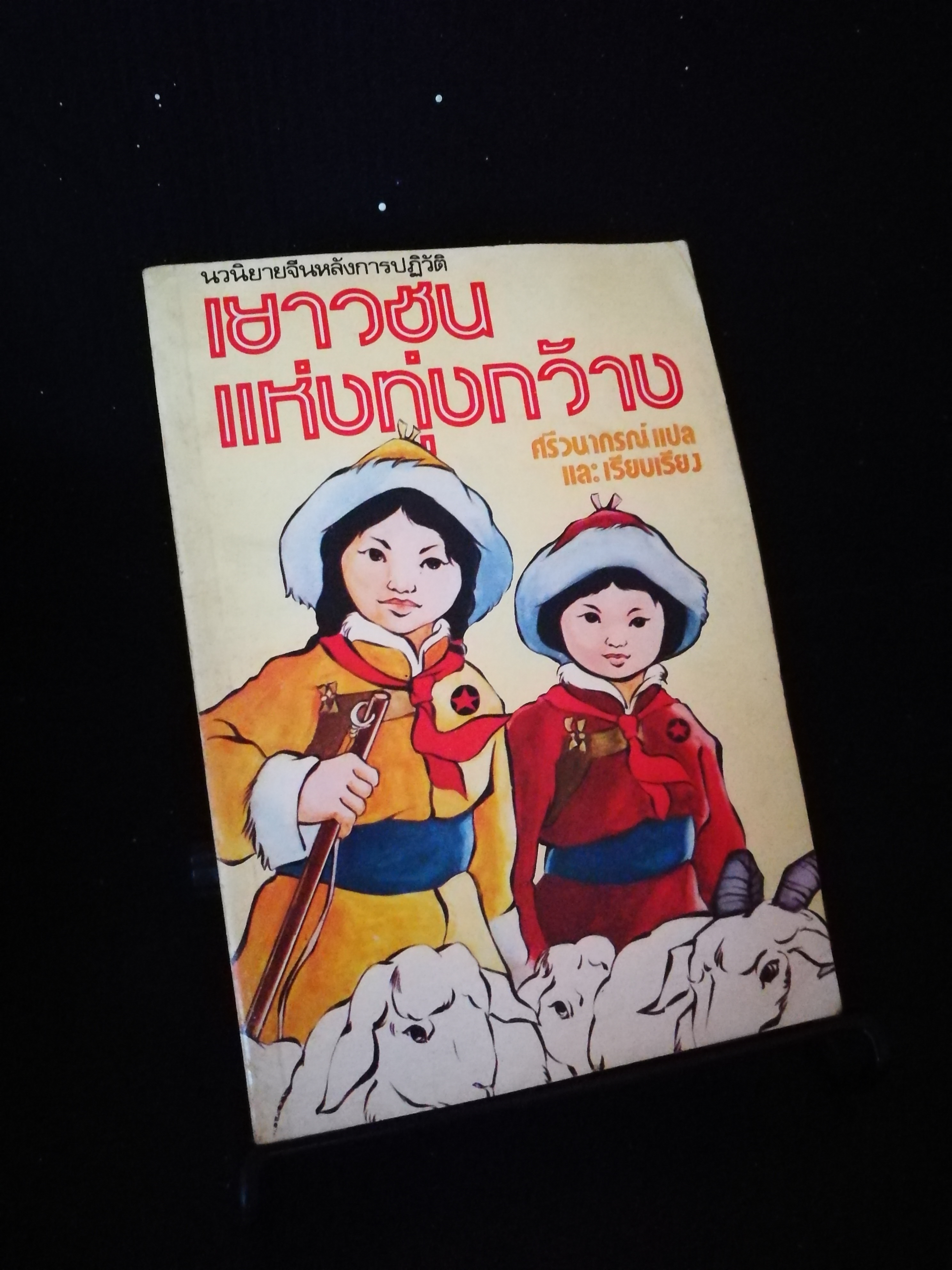 เยาวชนแห่งทุ่งกว้าง
