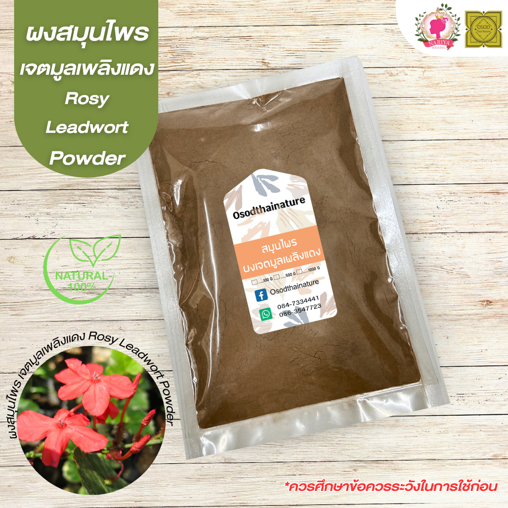 ผงเจตมูลเพลิงแดง (Rosy Leadwort Powder) ขนาด 500 1000 กรัม เจตมูลเพลิงแดง บดละเอียด สมุนไพร แท้ 100% FG-HBP-027