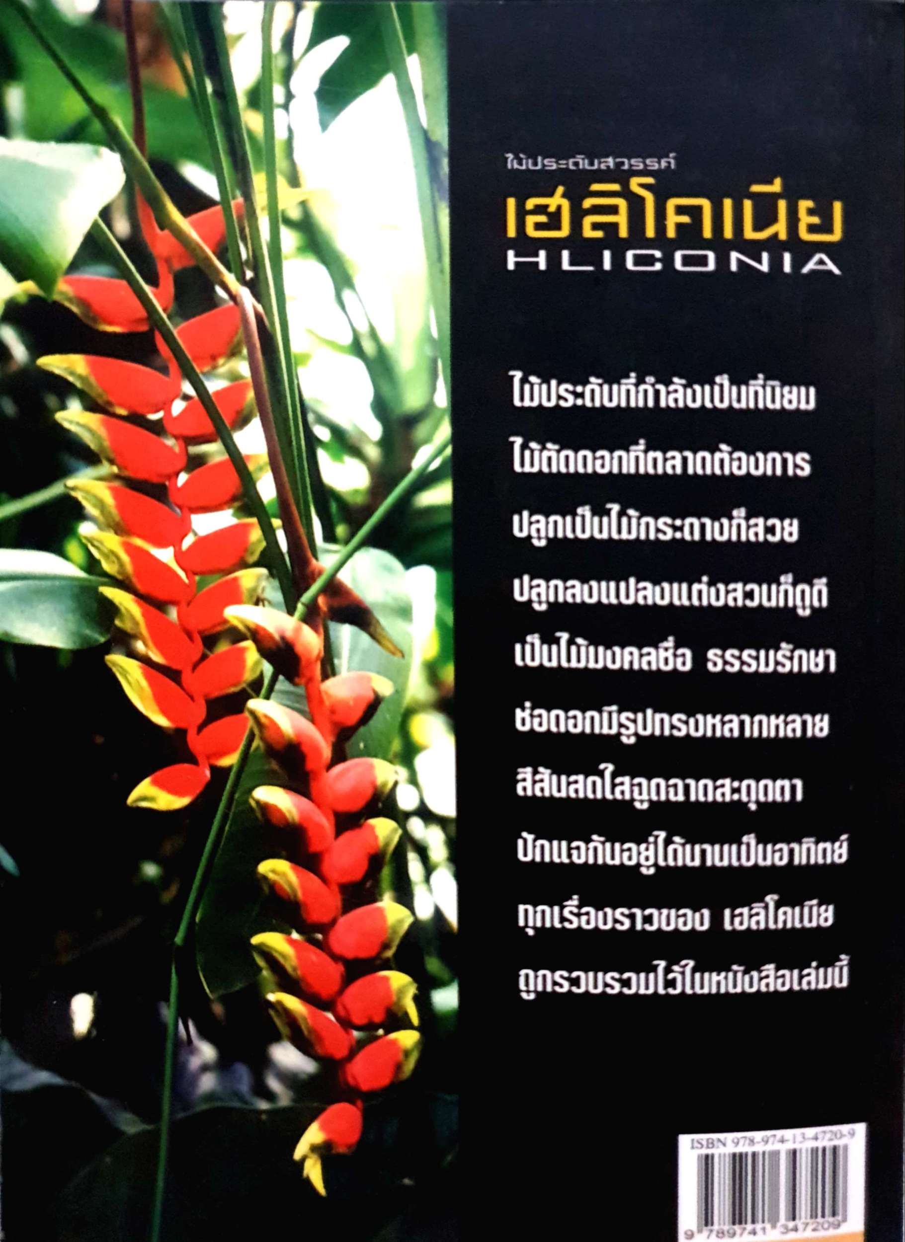 ไม้ประดับสวรรค์ เฮลิโคเนีย Hliconia ธรรมรักษา ก้ามกุ้ง ก้ามกั้ง สร้อยกัทลี