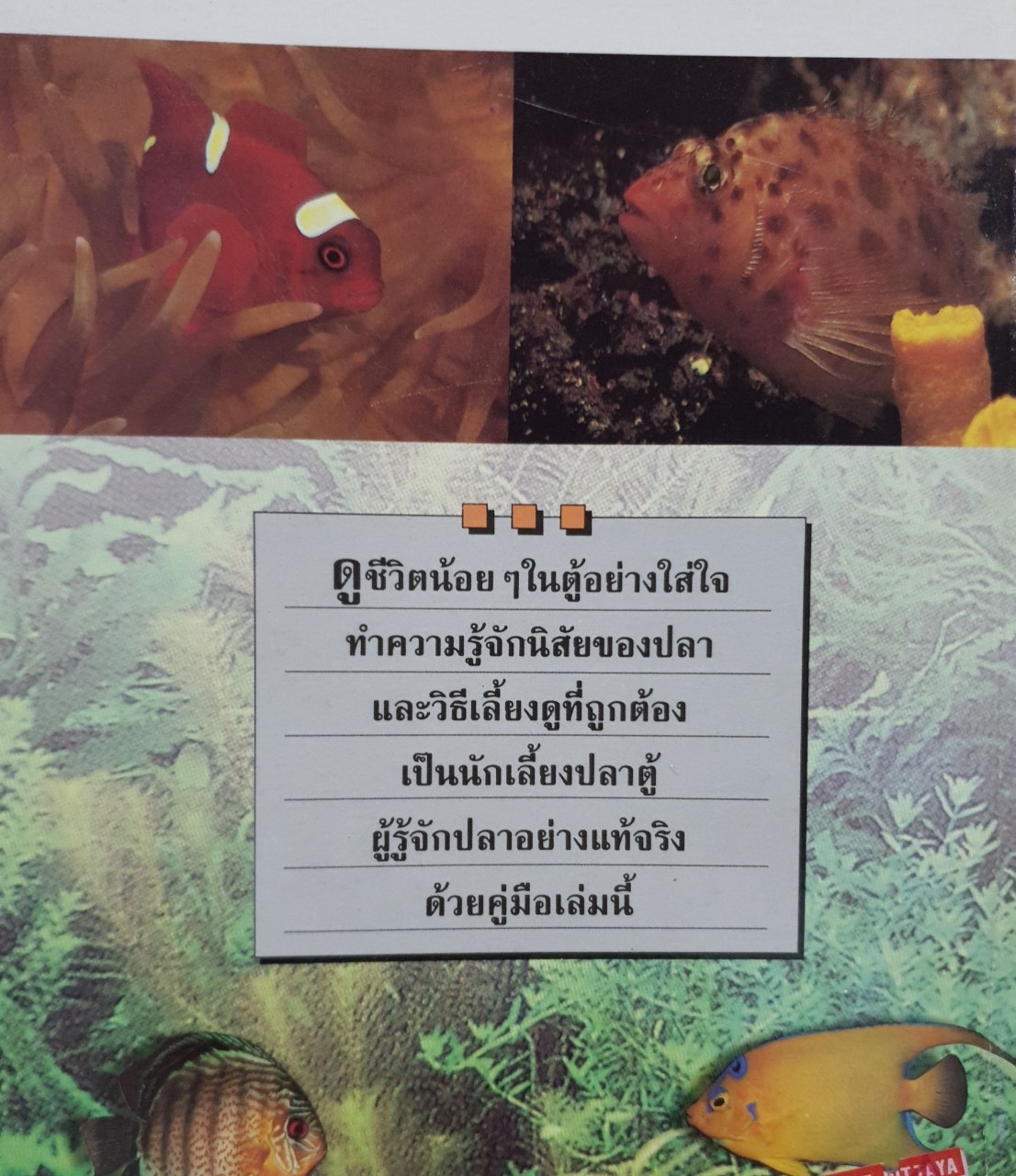 คู่มือเลี้ยงปลาตู้ไว้ดูเล่น : ไม้น้ำ