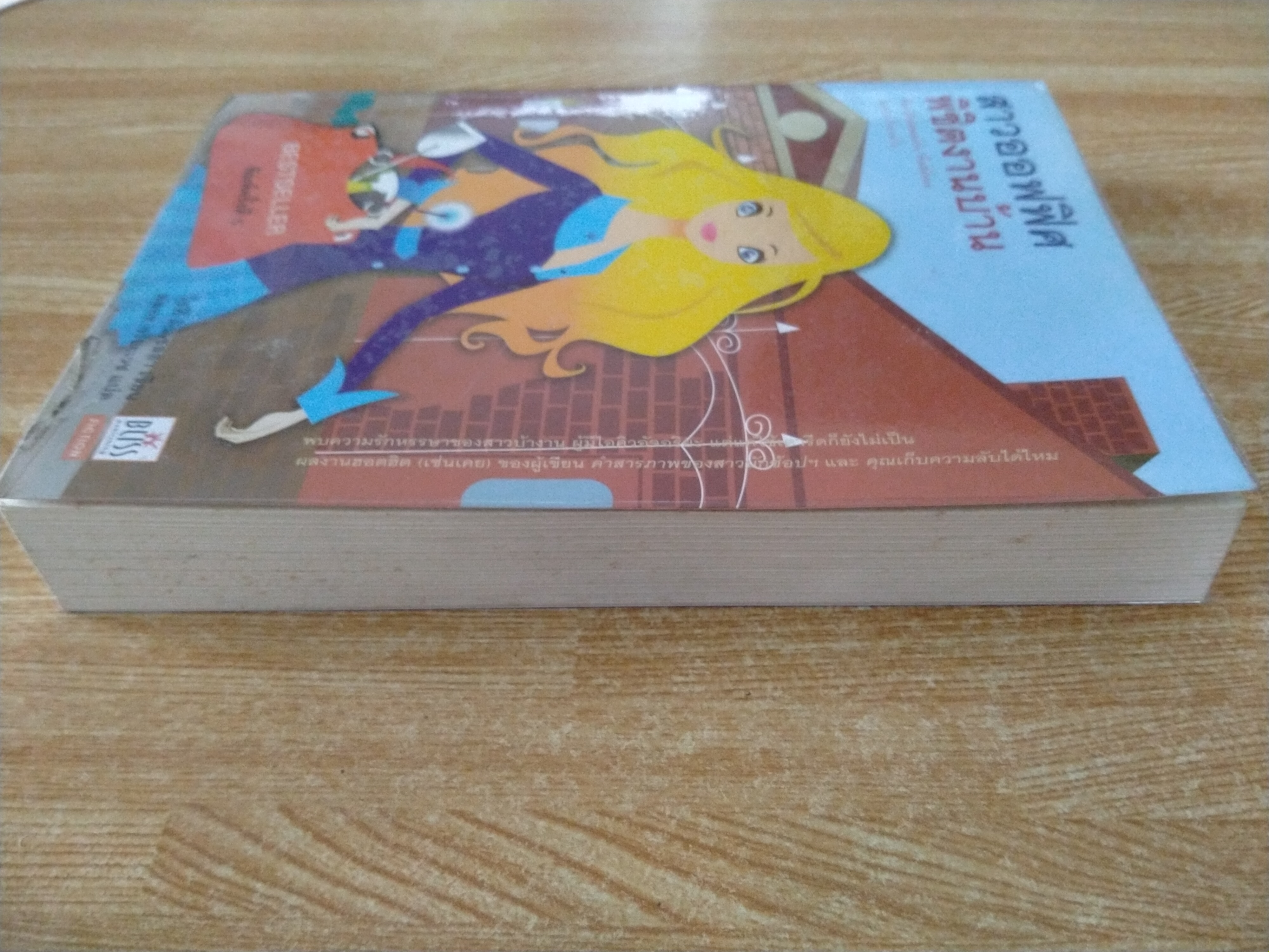 สาวออฟฟิศพิชิตงานบ้าน