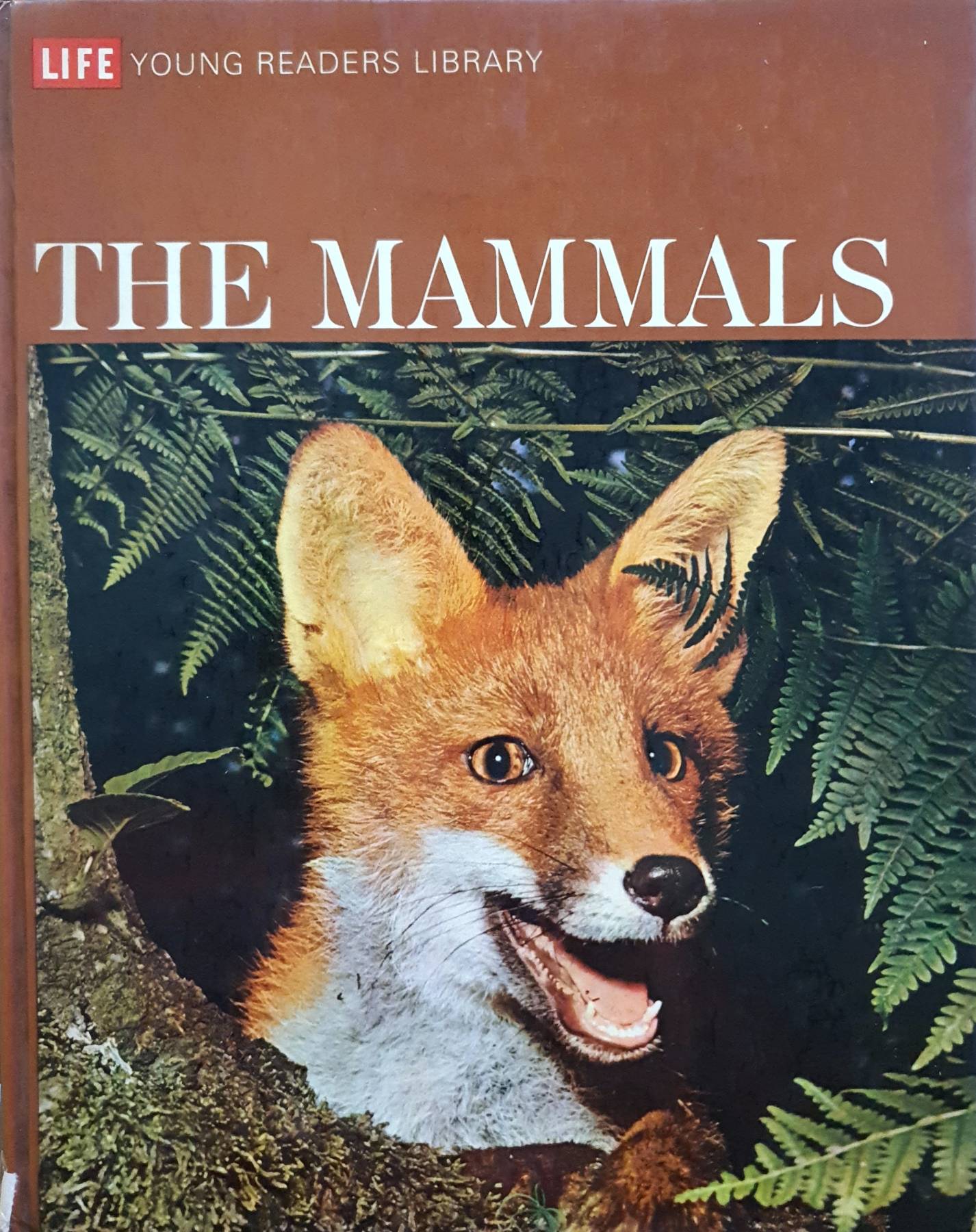 The Mammals : Life Young Reader Library