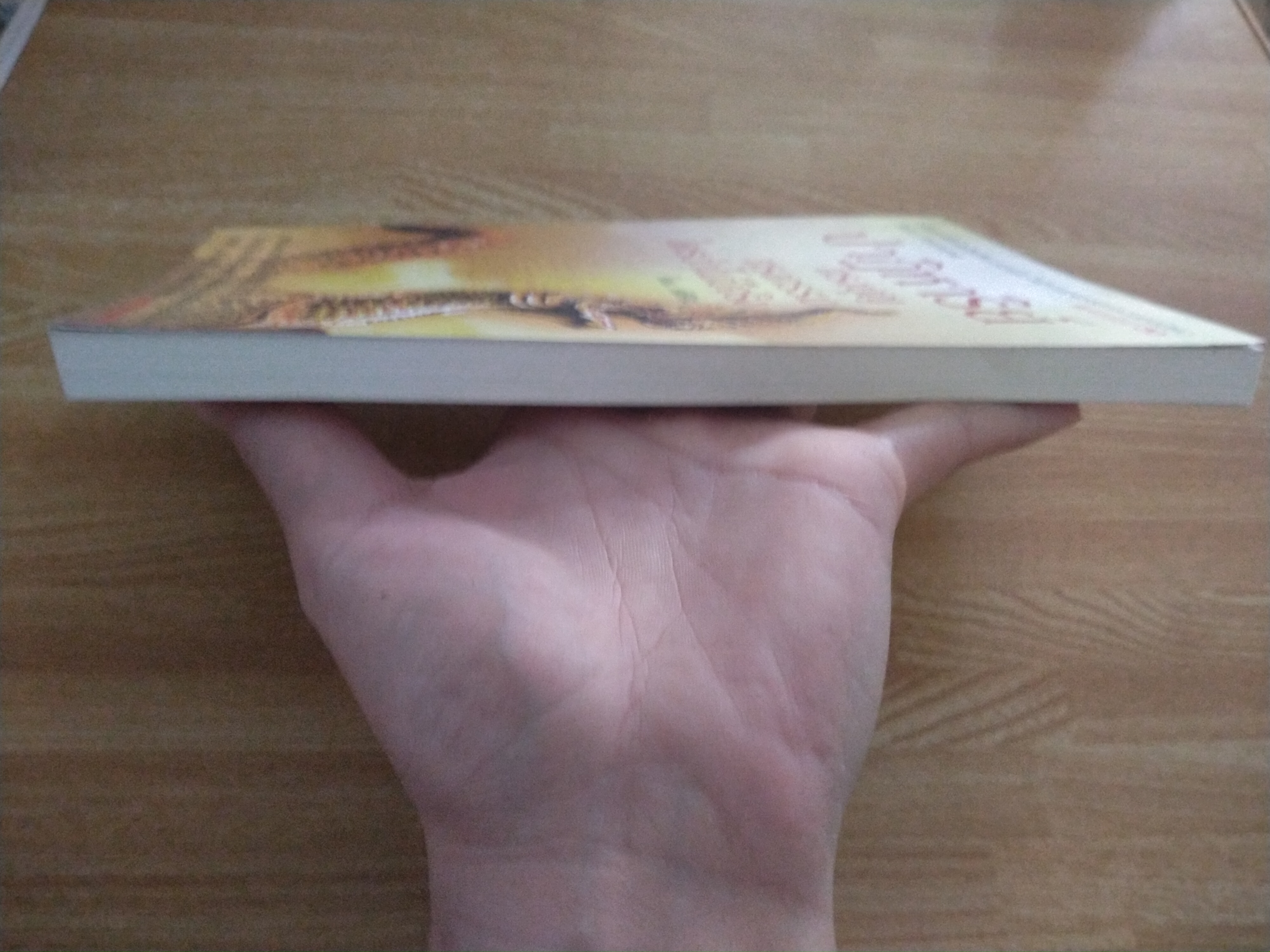 ปาฎิหาริย์แรงบุญแรงกรรมใครว่าไม่มีจริง