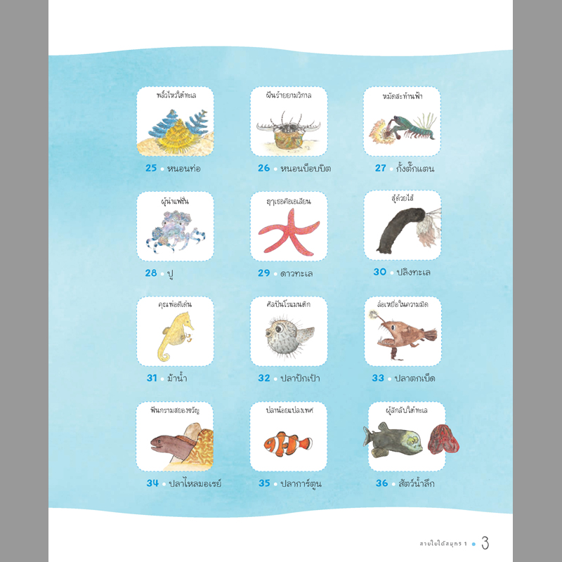ชุดสำรวจโลกและธรรมชาติ สายใยใต้สมุทร เมธิรา เกษมสันต์