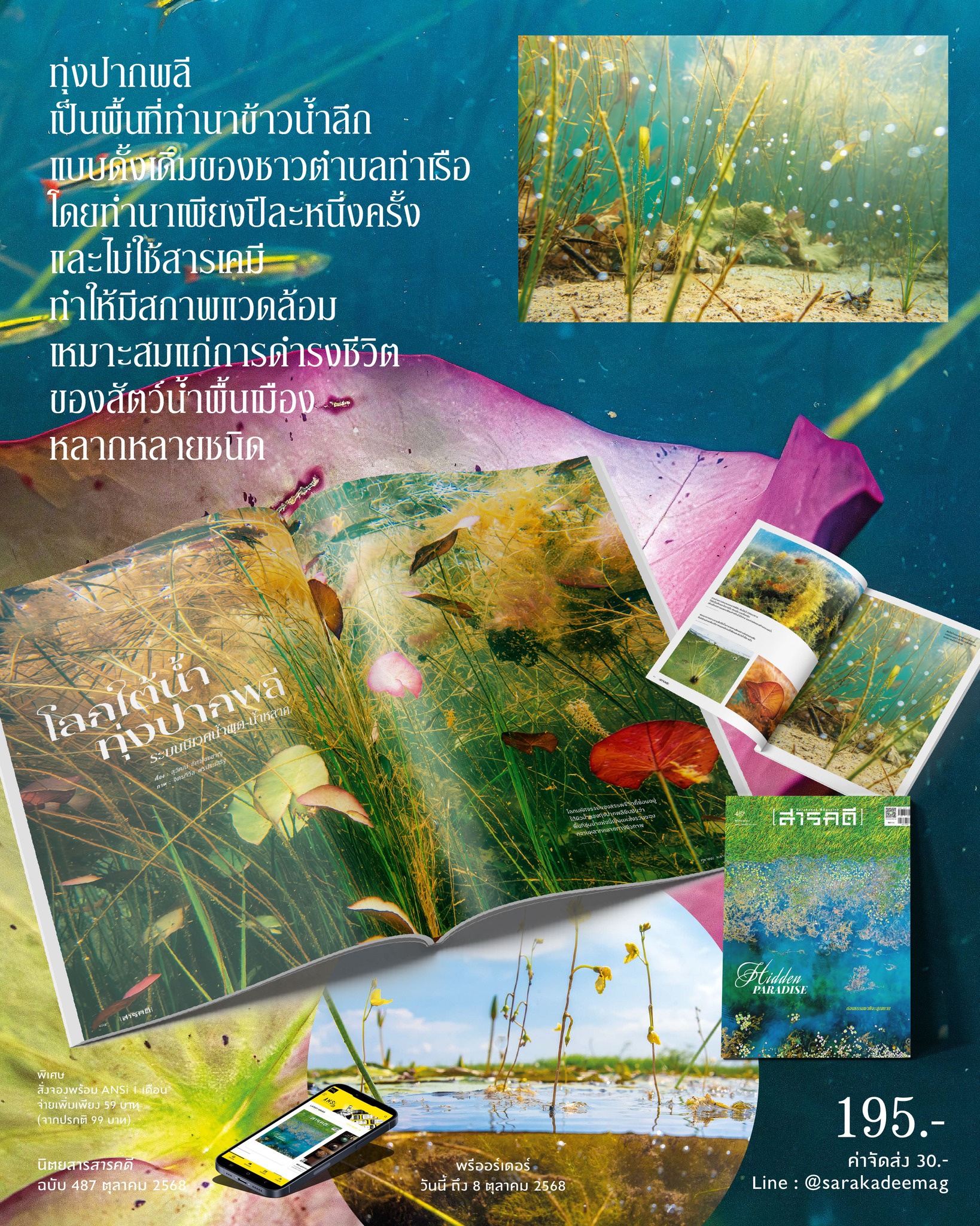 นิตยสาร สารคดี ฉบับที่ 487 ตุลาคม 2568 Hidden Paradise ก่อนธรรมชาติจะสูญหาย