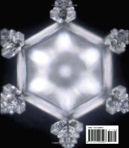 LOVE THYSELF : MASARU EMOTO ; The Author of The Hidden Messages of Water