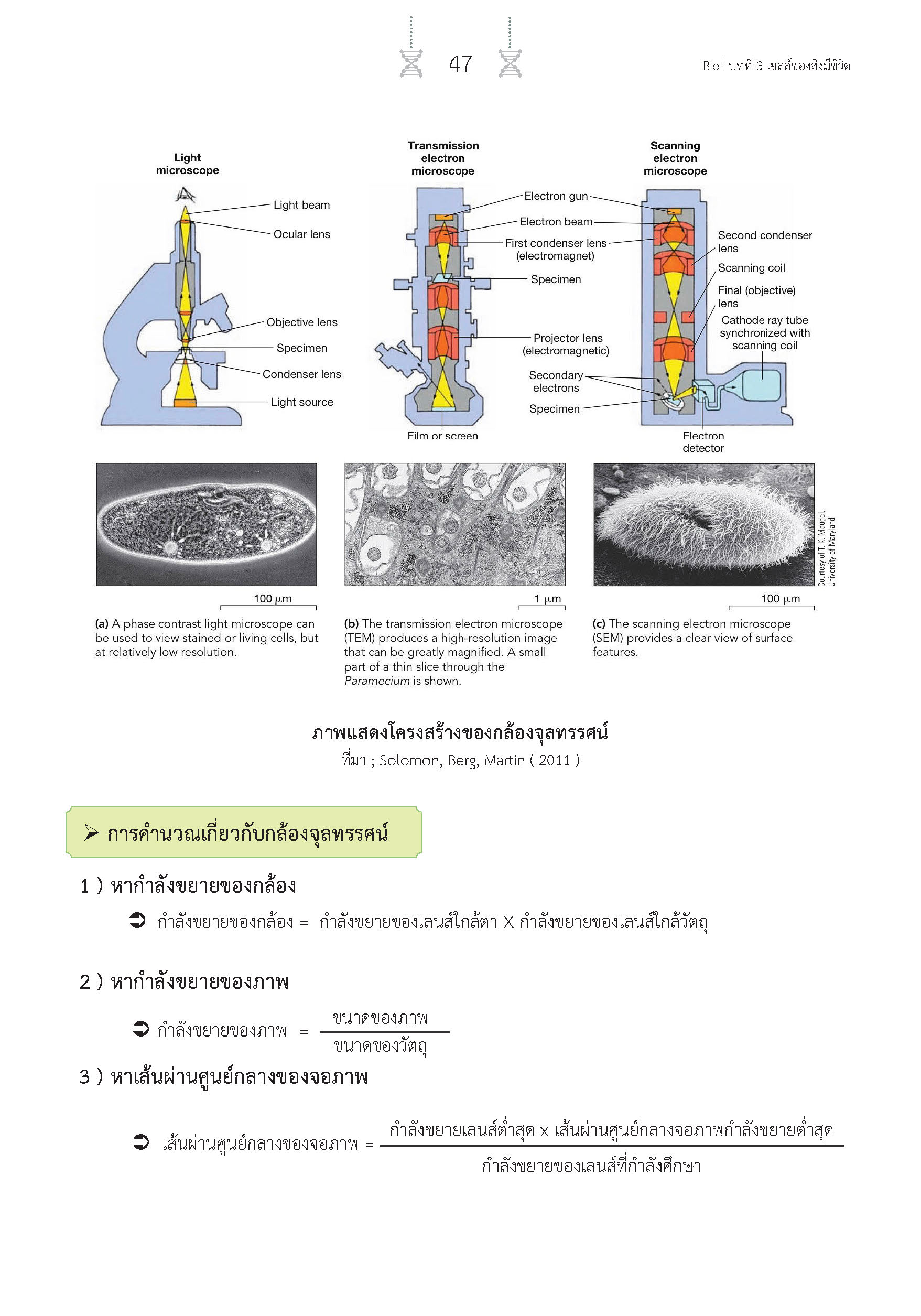สรุปเข้ม ชีววิทยา เล่ม 1 (พิมพ์ 4 สี)