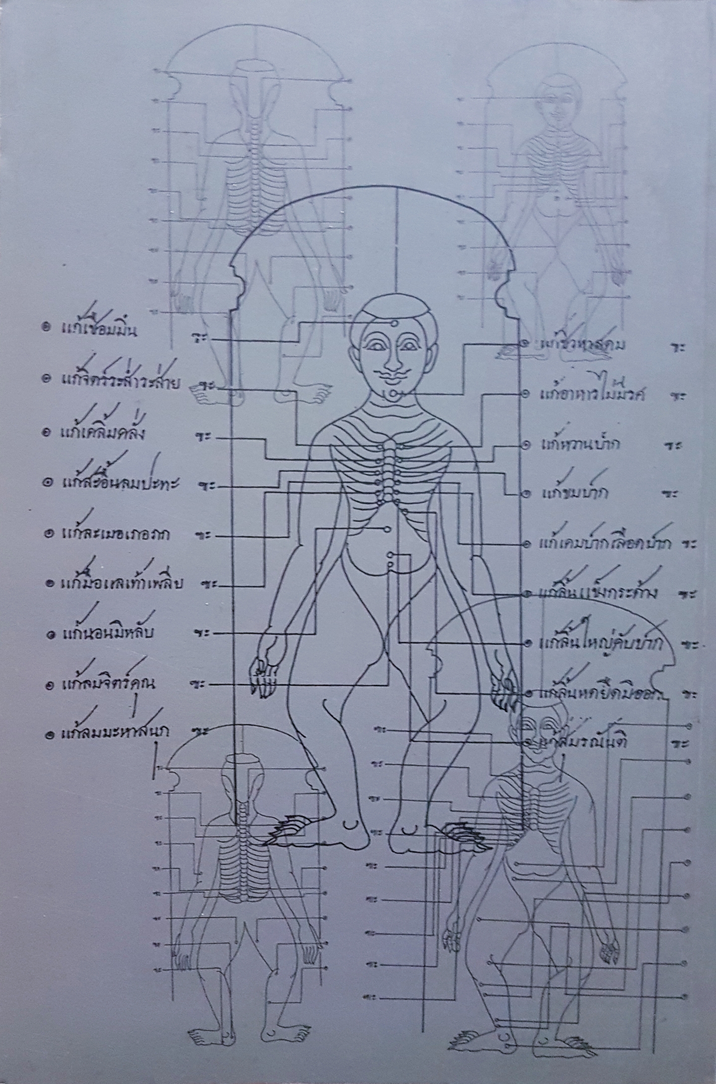สิทธิการิยะ.... สถาบันวิจัยวิทยาศาสตร์การแพทย์ จุฬาฯ