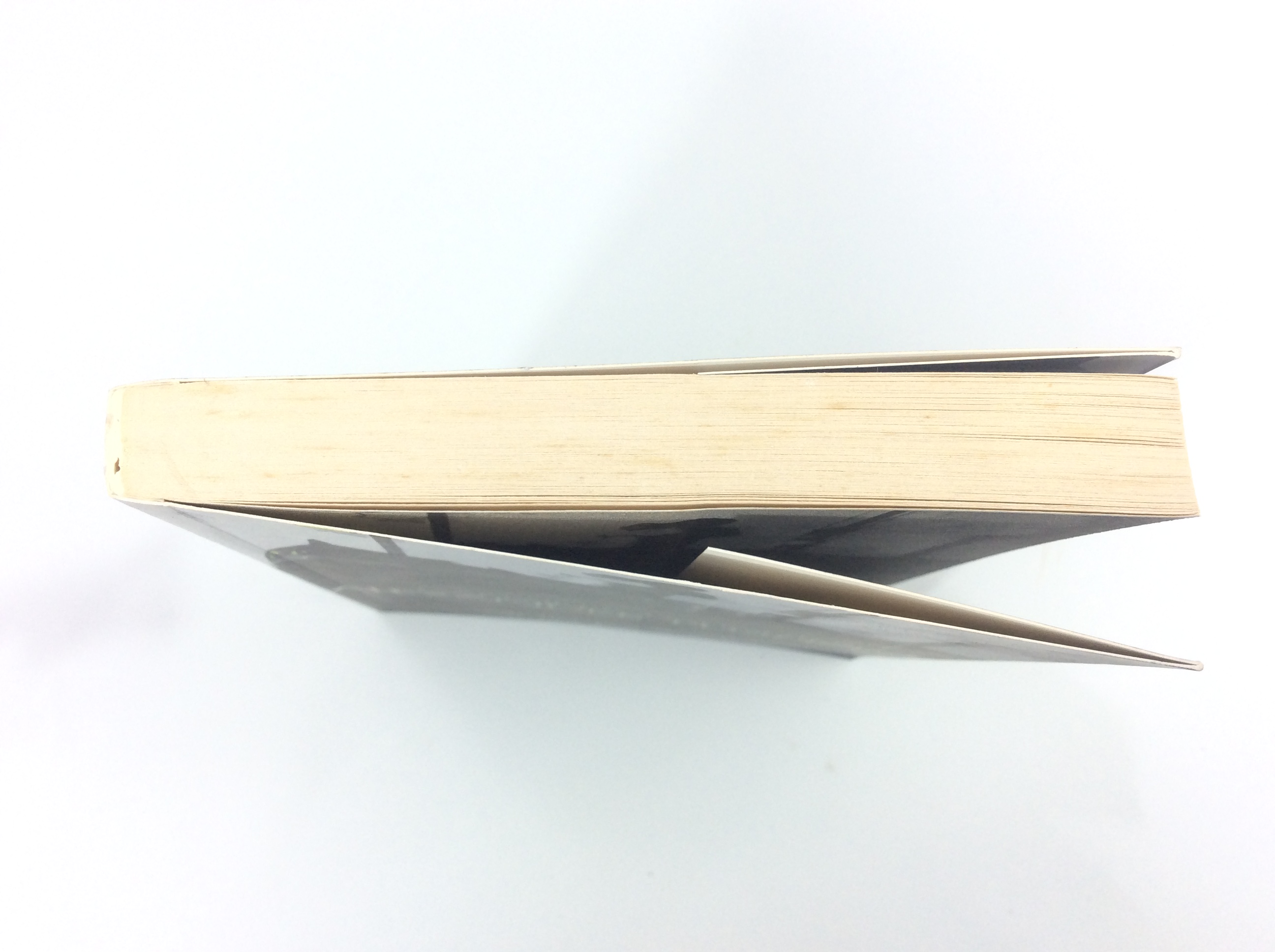 ลูกสาวกัปตัน โดย Alender Pushkin นิยาย นวนิยาย หนังสือแปล หนังสือ [คุ้มอักษรไทย]