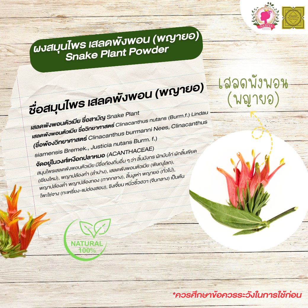 ผงเสลดพังพอน (พญายอ) (Snake Plant Powder) ขนาด 500 1000 กรัม เสลดพังพอน (ตัวเมีย) บดละเอียด สมุนไพร แท้ 100% FG-HBP-086