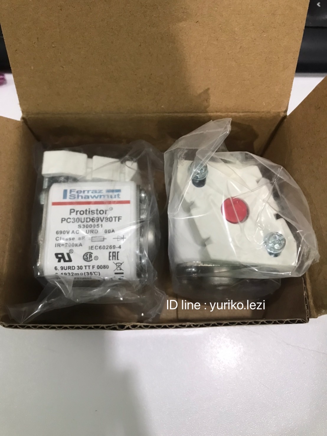 Ferraz Shawmut Protistor S300051 690V 80A S/N 17F670008