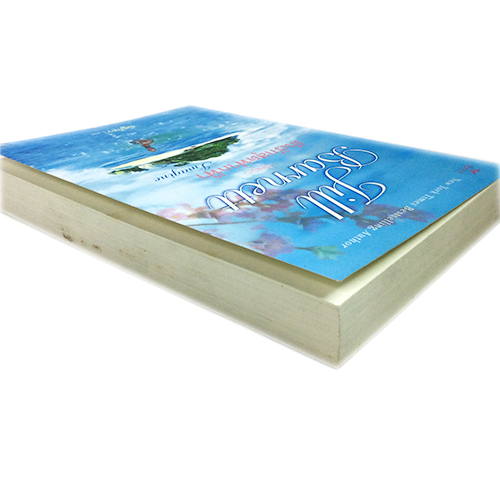 ฝันรักสุดฟากฟ้า หนังสือ นิยาย นิยายแปล โรแมนติก วรรณกรรม หนังสือ [คุ้มอักษรไทย]